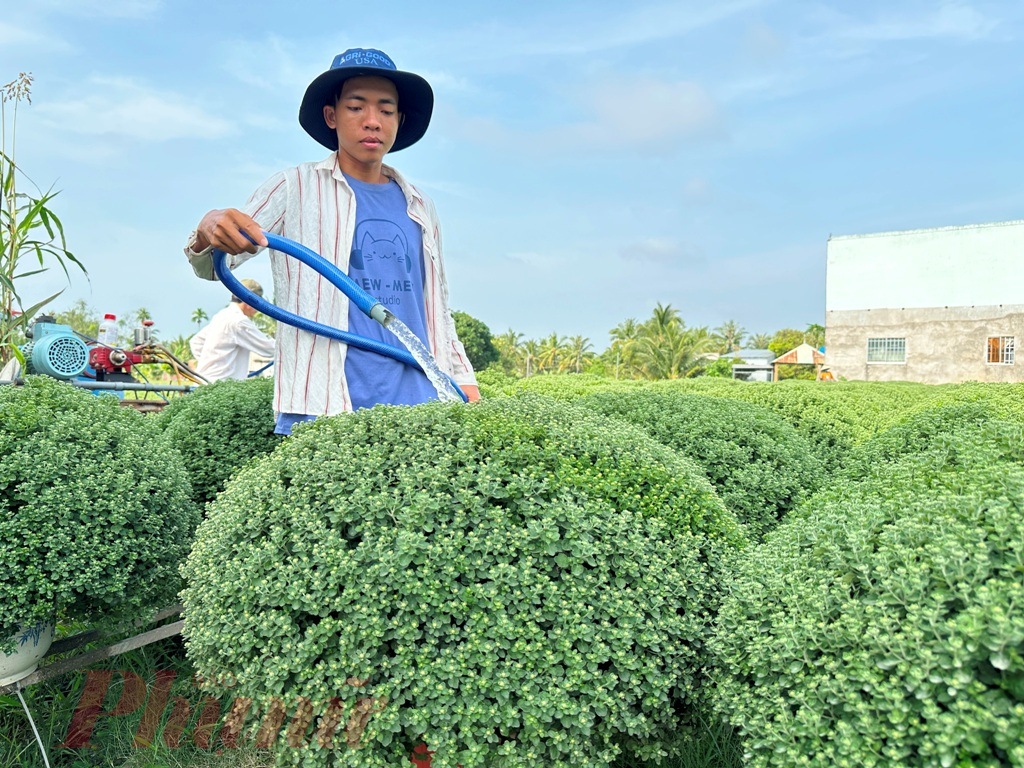 Thông qua hoạt động này, các nhà vườn cũng được hướng dẫn đăng ký và sử dụng các tính năng thương mại điện tử như TikTok Shop, tự thực hiện các phiên livestream kết hợp cùng các nhà sáng tạo nội dung TikTok để giới thiệu và bán hàng một cách hiệu quả, khả năng tiếp cận khách hàng cao, nhưng lại tiết kiệm được chi phí.