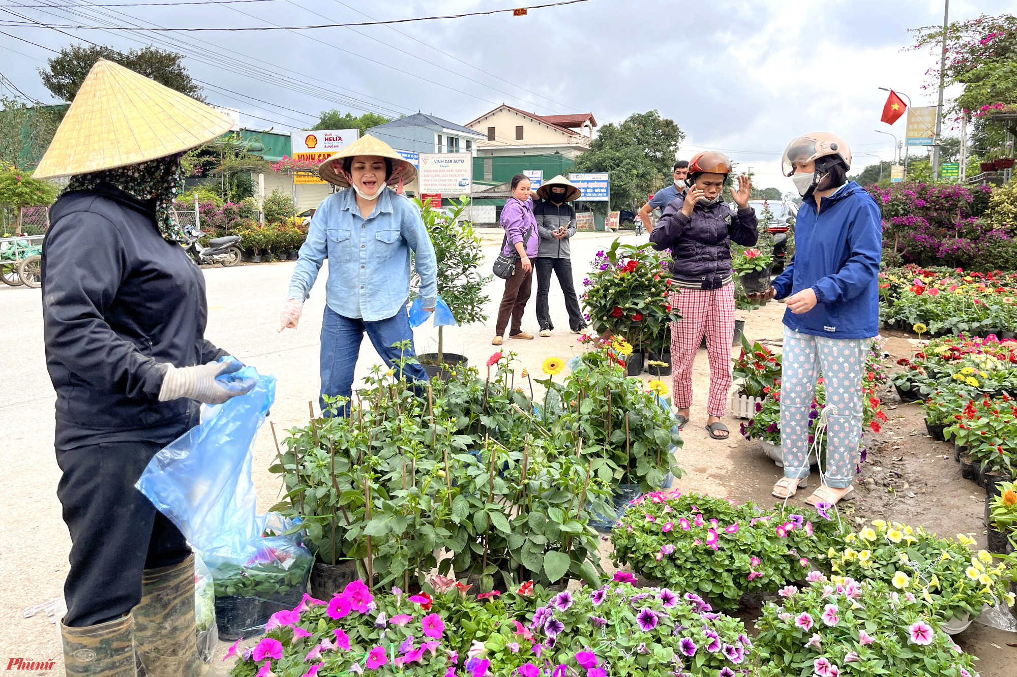 Theo các tiểu thương, năm nay họ nhập cây cảnh, hoa tết về bán sớm hơn trước nhu cầu chơi hoa trước tết của người dân tăng cao những năm gần đây. Tuy nhiên, phần lớn các tiểu thương đều không nhập ồ ạt số lượng lớn, họ chia thành nhiều nhập hàng để vừa bán vừa “thăm dò” thị trường.