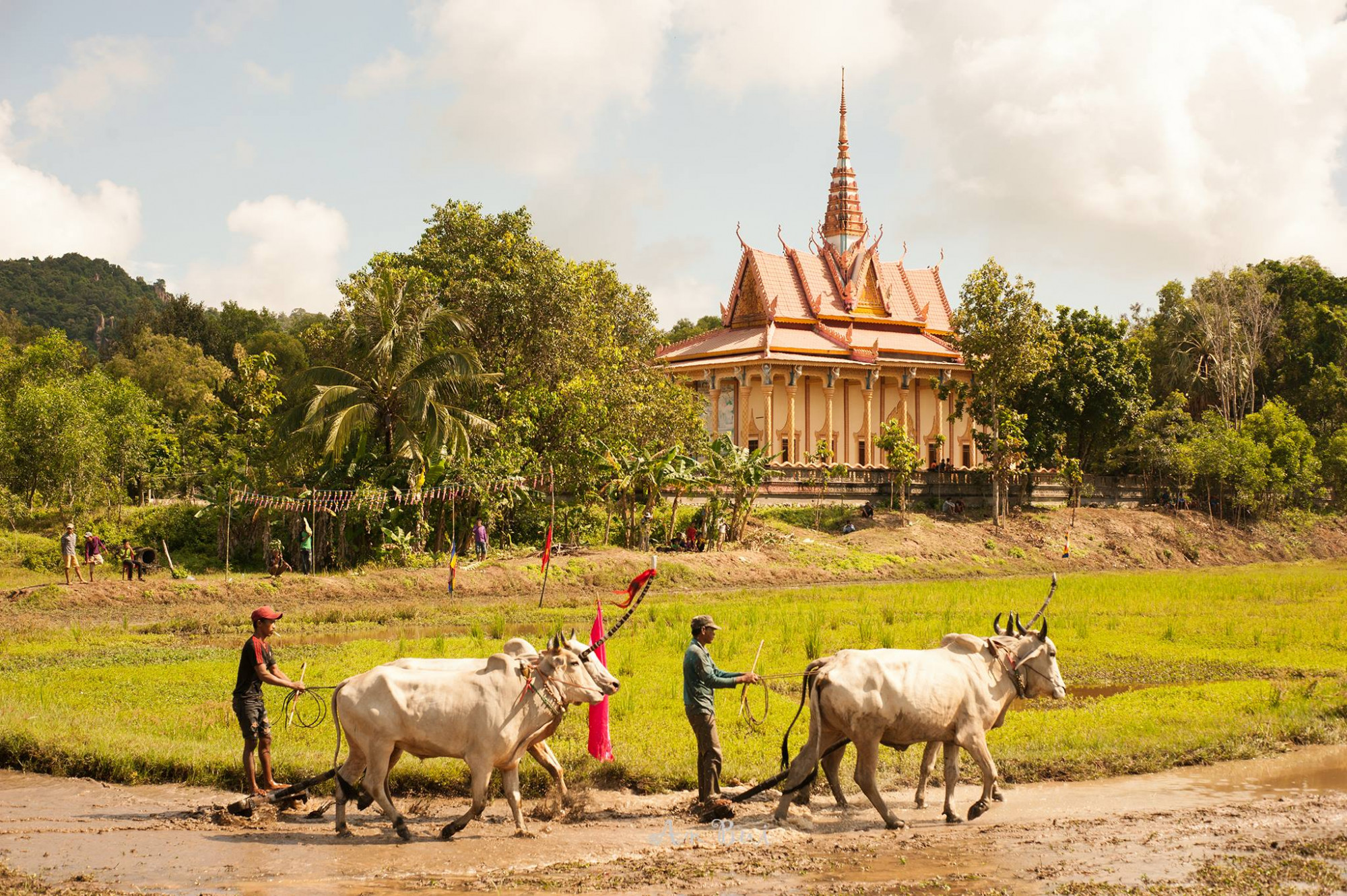 chùa Rô (xã An Cư, huyện Tịnh Biên)