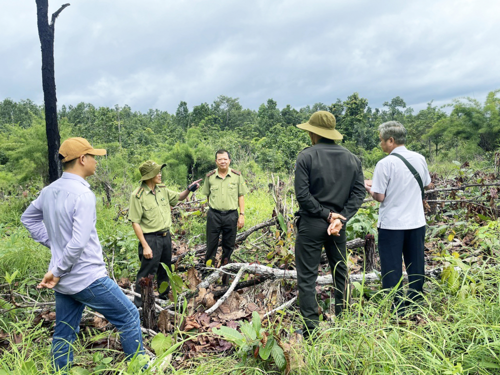 Lực lượng kiểm lâm đang phải đối diện với nhiều khó khăn, thách thức trong cuộc chiến bảo vệ rừng