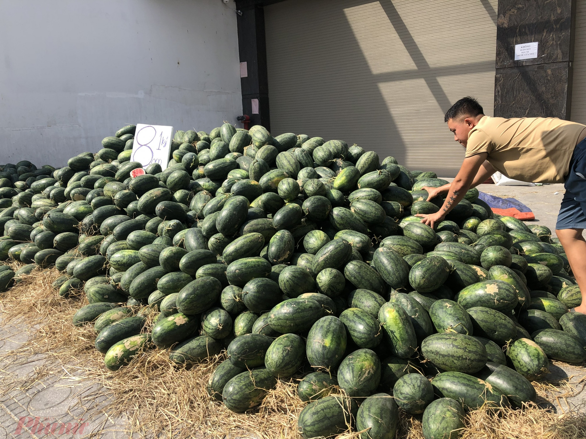 Chủ một điểm bán trên đường Âu Cơ (quận Tân Bình, TPHCM) - cho biết, đây là dưa Tây Ninh nên có giá 6.000 đồng/kg. Riêng dưa Long An thì mắc hơn một chút, nhưng cũng chỉ khoảng 10.000 đồng/kg. Dưa Tây Ninh vỏ dày hơn, ít ngọt hơn trong khi dưa Long An thì vỏ mỏng, vị ngọt đậm hơn. 