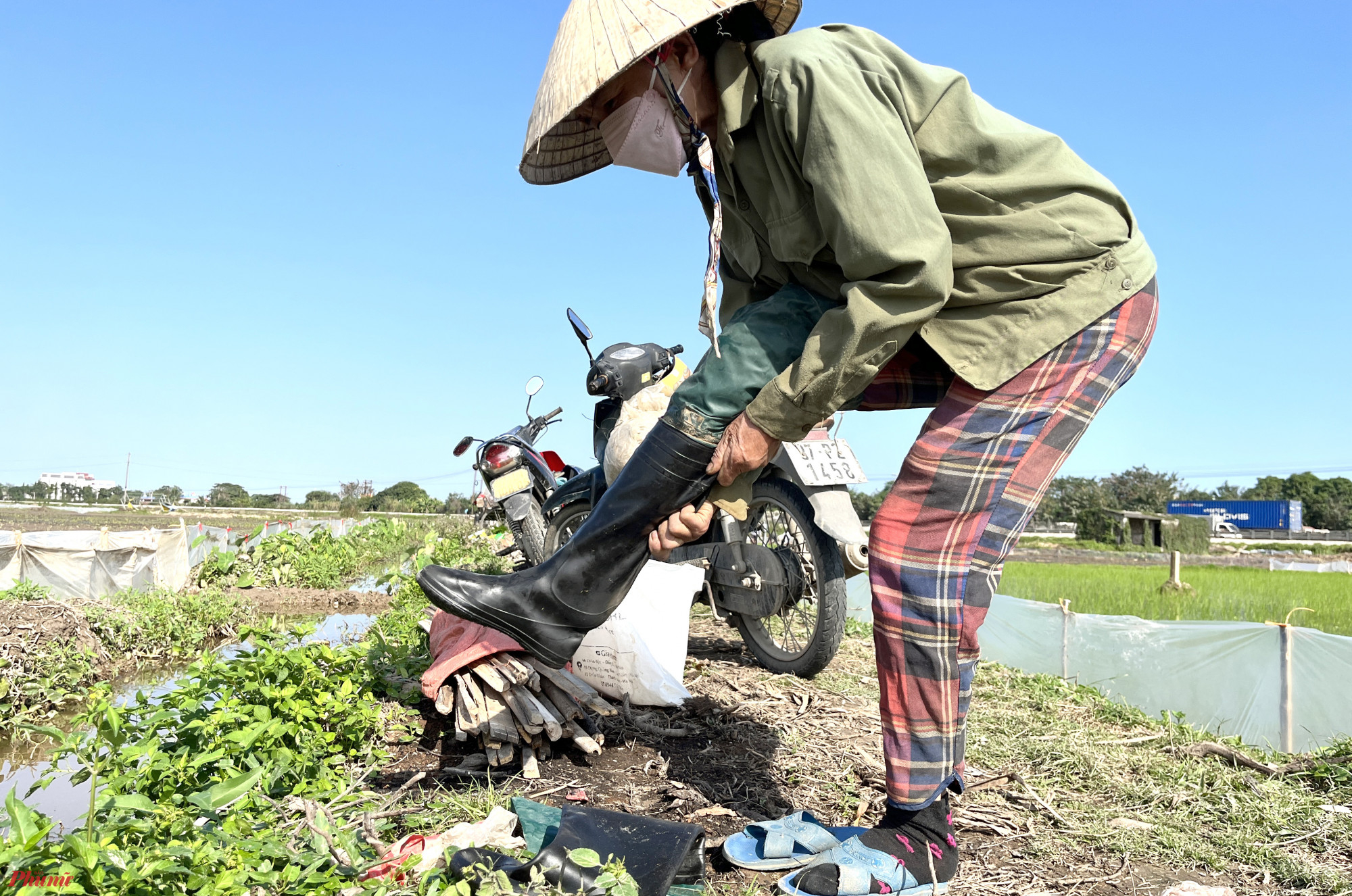 Nghề cấy lúa thuê mỗi năm chỉ có 2 vụ, mỗi vụ kéo dài gần một tháng. “Vất vả hơn làm việc khác thật. Nhưng được cái mình thích thì làm, mệt thì nghỉ. Dịp này, nếu chăm chỉ cấy thuê đến tết cũng kiếm được 8-9 triệu đồng, đủ để trang trải cái tết” - chị Nguyễn Thị Bình (quê xã Quỳnh Thanh, huyện Quỳnh Lưu) nói.