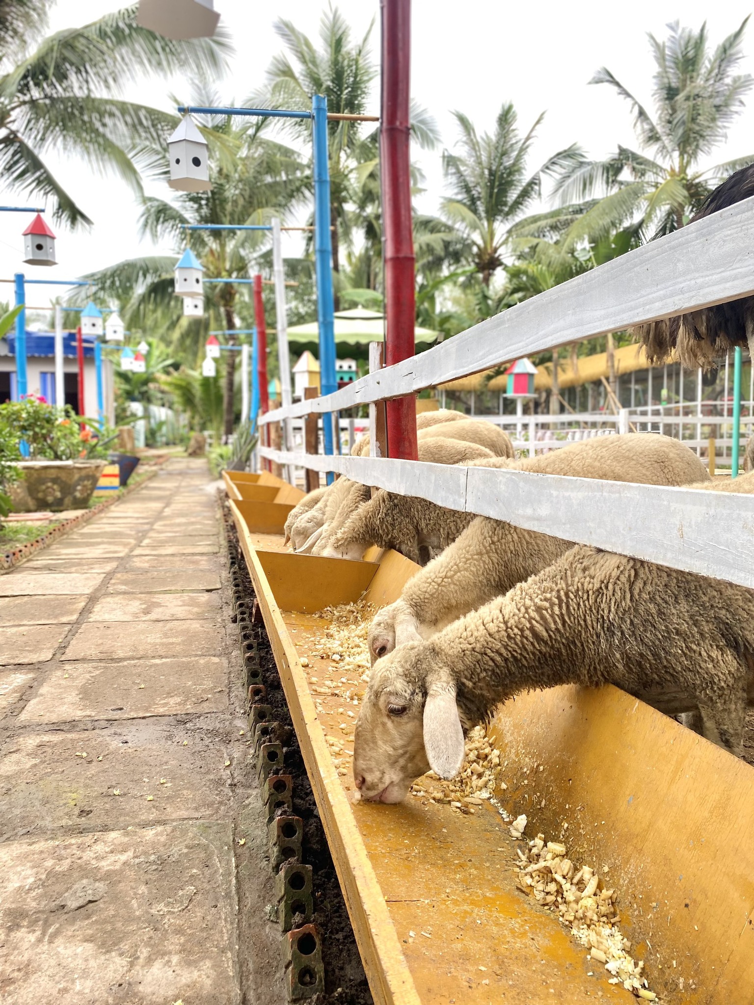  Làng du lịch Tre Việt Làng du lịch Tre Việt • Địa chỉ: 25 Phan Văn Đáng, Phú Hữu, Nhơn Trạch, Đồng Nai  Bạn đang phân vân Du lịch 1 ngày nên đi đâu gần TP HCM? Gợi ý đến bạn một địa điểm chỉ nằm ngay sát Sài Gòn 15km – Làng du lịch Tre Việt. Chỉ cần di chuyển bằng xe máy chưa đến 20 phút là bạn đã đến ngay địa điểm này.  Nơi đây được bao bọc bởi tre mang đến vẻ bình yên của một làng quê Việt Nam. Bạn sẽ được thư giãn bằng các trò chơi như đạp xe qua sông trên những chiếc cầu tre, chèo thuyền gỗ, đi du thuyền bamboo ngắm cảnh sắc…  Vào cuối tuần, làng tre Việt còn tổ chức các buổi buffet với món ăn thuần Việt. Ngày thường thì khu ẩm thực ở Bamboo cũng khá ngon và cung cấp dịch vụ ẩm thực giá tốt, phục vụ tận tình.