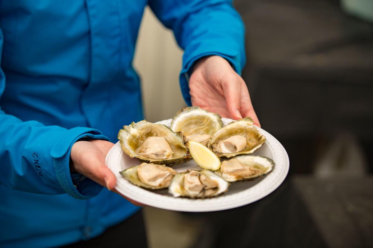 Bluff oysters:Hàu Bluff được tìm thấy ở một vùng nước nhỏ ở New Zealand , đặc biệt là giữa thị trấn Bluff và Đảo Stewart từ tháng 3 đến tháng 8. Vì không thể nuôi những con hàu đắt tiền này ở nơi khác nên chúng chỉ có thể được đánh bắt trong tự nhiên. Điều này biện minh cho mức giá cao. Được biết đến với cái tên 'Bluffies', chúng được mô tả là có nhiều thịt, đậm đà và hơi ngọt.