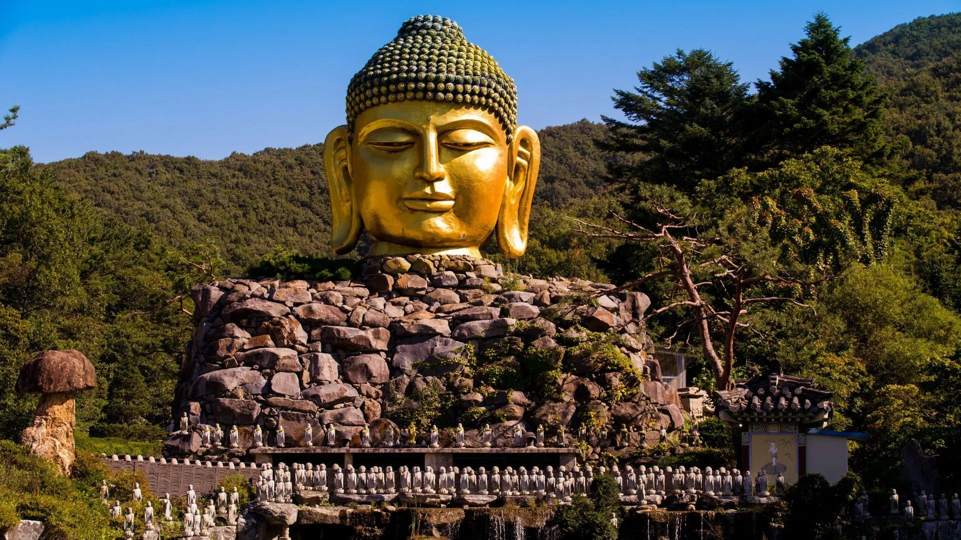 Đền Waujeongsa Đền Waujeongsa Tín dụng hình ảnh: Susann Yodyiam / Shutterstock Được thành lập vào năm 1970 bởi Kim Hae-Geun, chùa Waujeongsa là biểu tượng của niềm hy vọng cho sự thống nhất đất nước và là nơi khai sinh của Dòng Niết bàn Phật giáo Hàn Quốc.  Đáng chú ý, ở lối vào, du khách được chào đón bởi Buldu, tác phẩm điêu khắc đầu Phật lớn nhất và bên trong ngôi chùa có một bức tượng Wabul (tượng Phật nằm) quan trọng, được chế tác từ cây bách xù Indonesia, cao 3 mét và dài 12 mét.