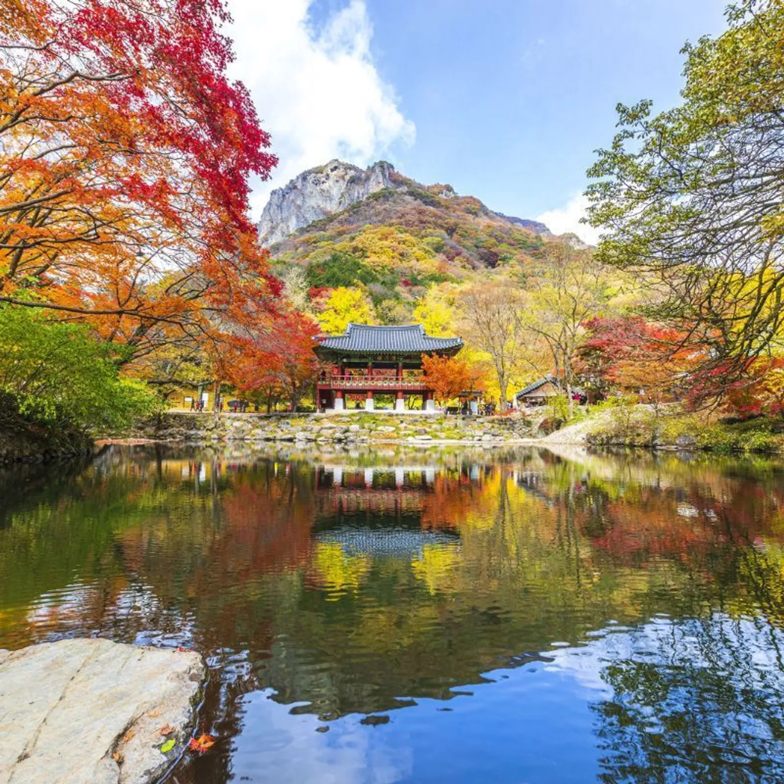 Các ngôi chùa ở Hàn Quốc mang đến những nơi nghỉ dưỡng thanh bình với di sản văn hóa phong phú. Những địa điểm cổ xưa này, nép mình trong những khu rừng tươi tốt, trên núi hay gần những dòng suối yên tĩnh, không chỉ là nơi thờ cúng; chúng đại diện cho bản chất lịch sử của đất nước, với nhiều tác phẩm có niên đại từ Triều đại Goryeo và Joseon. Kiến trúc của họ, đặc trưng bởi màu sắc rực rỡ và đồ gỗ phức tạp, hòa quyện hài hòa với thiên nhiên.  Những ngôi chùa này ở Hàn Quốc cũng là những trung tâm văn hóa sôi động, tổ chức nhiều lễ hội và sự kiện trong suốt cả năm. Đóng vai trò là cửa ngõ cho cả khách du lịch quốc tế và người dân địa phương, những ngôi chùa này ở Hàn Quốc mang đến những trải nghiệm độc đáo như ở lại chùa, cho phép du khách hòa mình vào đời sống tu viện Phật giáo và tham gia thiền định cũng như các nghi lễ truyền thống khác.