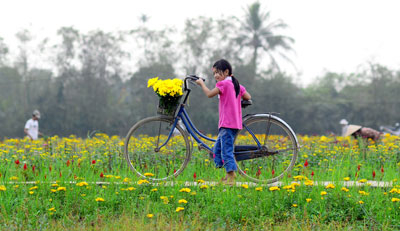 Mùa xuân ở quê nhà (ảnh minh họa)