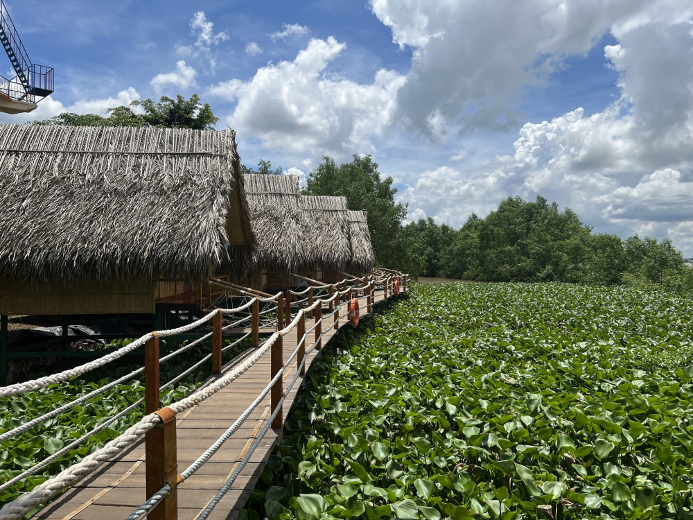 Hoặc thuê một căn homestay hướng ra 'biển lục bình để tận hưởng bầu không khí trong lành cũng những làn gió mát mẻ 