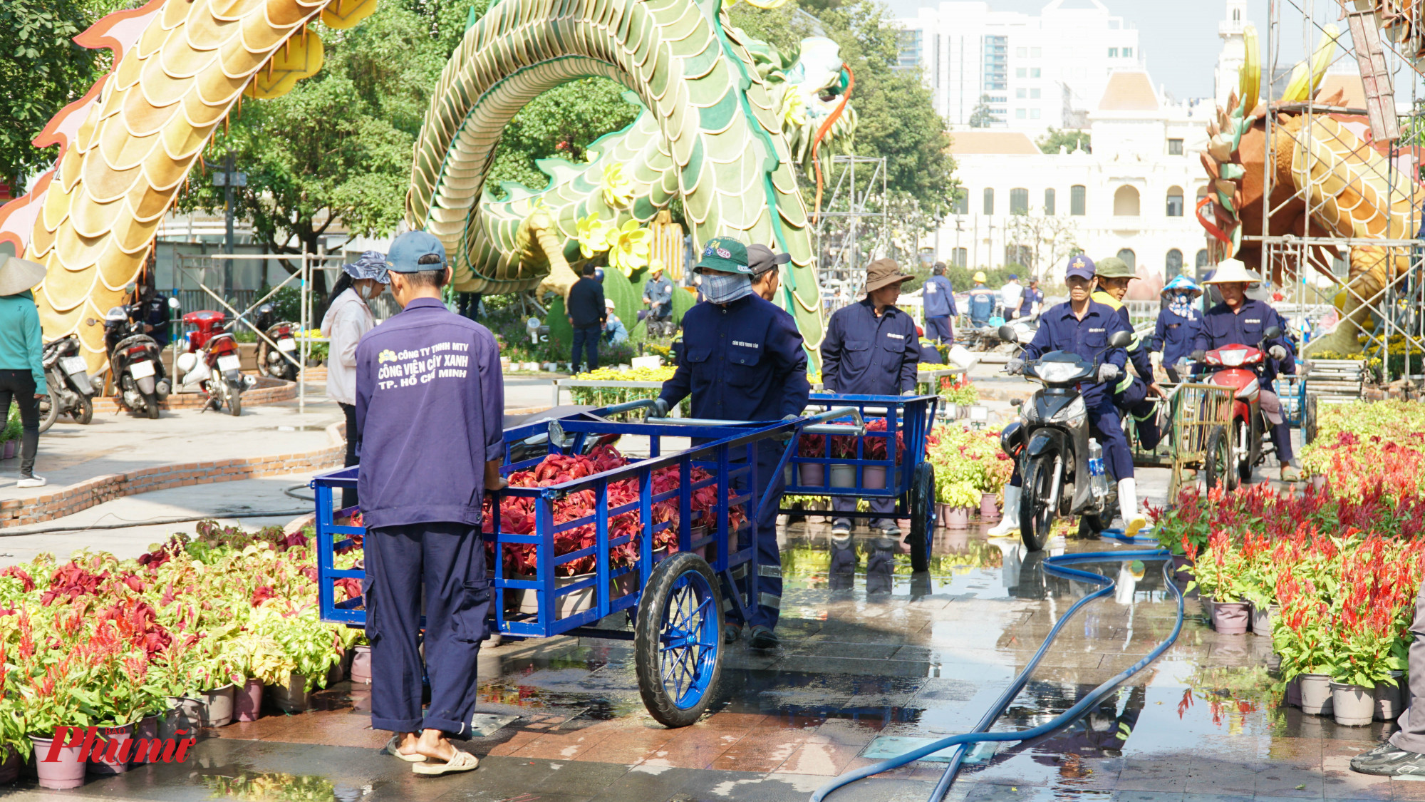 3 gam màu chủ đạo của đường hoa năm nay là đỏ, cam, vàng của 99 chủng loại hoa như cẩm chướng, phong lữ, thược dược, mào gà, thu hải đường...