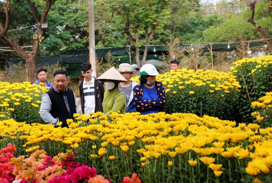 Cũng trong khuôn khổ Hội hoa xuân Phú Mỹ Hưng, khu vực Chợ hoa Tết đã bắt đầu hoạt động từ sáng 23 tháng Chạp, thu hút nhiều người dân đến mua sắm, tham quan - Ảnh: PMH