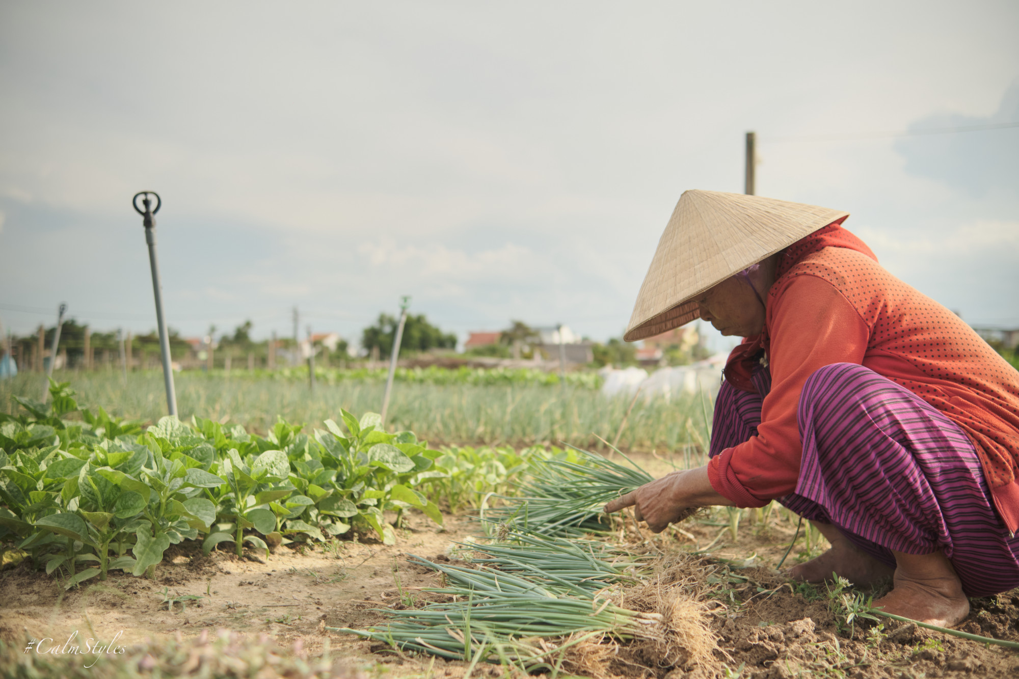 Về quê, nơi có mẹ già đang chờ 