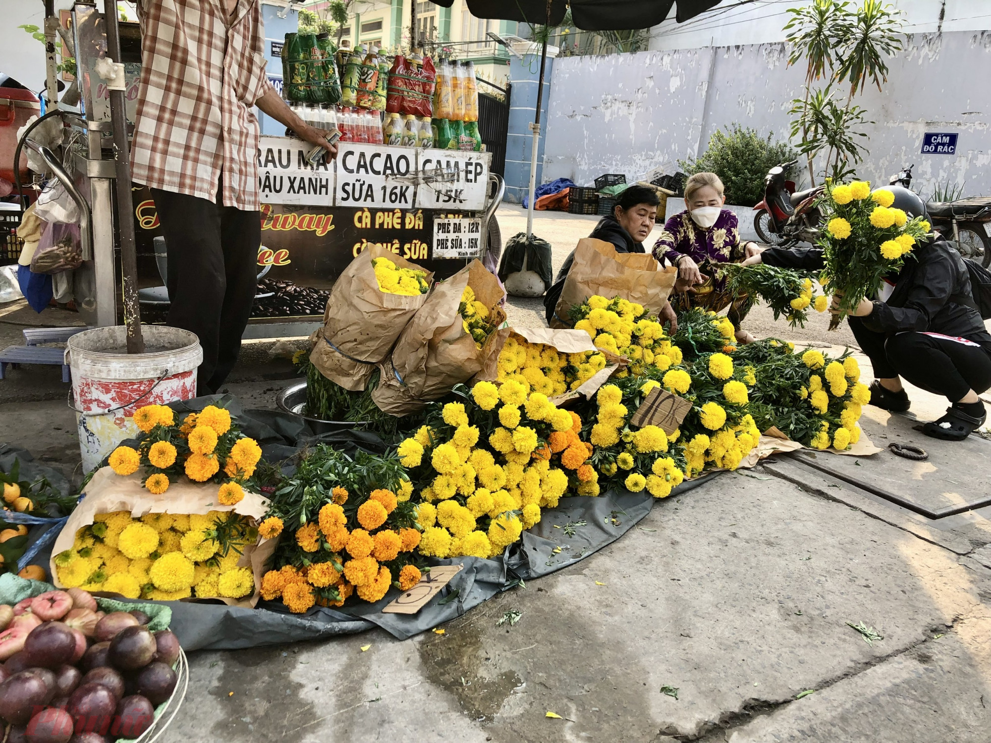 Những cây hoa lớn có nhiều cành hơn thì giá 10.000 đồng/cây. Cô Hạnh, chủ điểm bán này cho biết, năm nay giá hoa vạn thọ rớt mạnh. Nếu như năm ngoái mỗi cây hoa kích thước lớn có giá 20.000 đồng/cây thì nay chỉ còn 10.000 - 15.000 đồng/cây. 