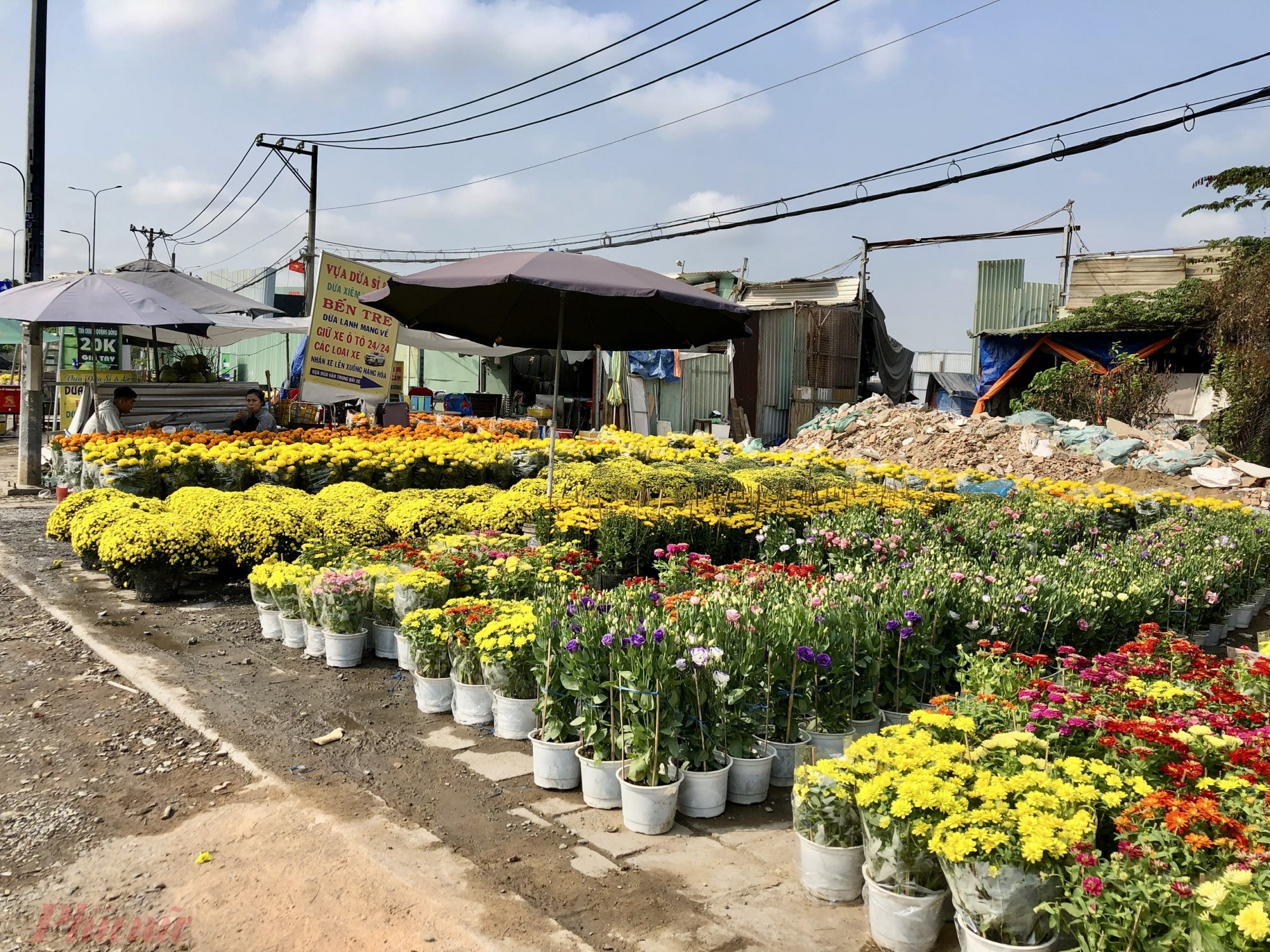 Tại một số quận của TPHCM, năm nay, số điểm bán hoa ngoài đường ít hẳn hơn các năm trước. Chủ 1 vựa hoa ngay ngã tư An Dương Vương và đại lộ Võ Văn Kiệt (quận 6 và quận Bình Tân, TPHCM) - cho biết, vựa đã đưa hoa từ Tiền Giang lên TPHCM từ ngày 21/12 Âm lịch, nhưng đến nay bán chưa được 20 chậu. Giá hoa tại các điểm lề đường này khá rẻ hơn các vựa hoa trong nội ô thành phố, như cát tường giá 150.000 đồng/cặp, cúc kim cương giá 75.000 đồng/cặp, vạn thọ 150.000 đồng/cặp, cúc mâm xôi và cúc đại đóa tùy theo kích thước chậu lớn hay nhỏ mà có giá từ 150.000 - 400.000 đồng/cặp. Theo người bán, so với các năm trước, năm nay giá hoa rẻ hơn từ 50.000 - 60.000 đồng/chậu.