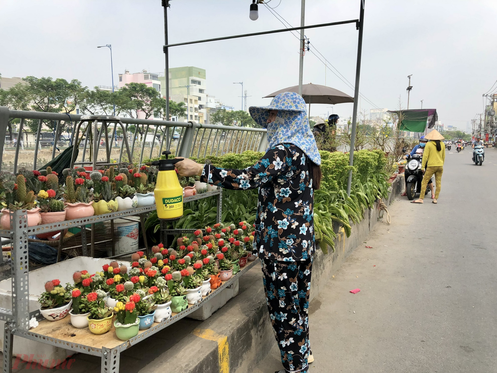 Các vựa bán các loại hoa kiểng khá cũng ế ấm