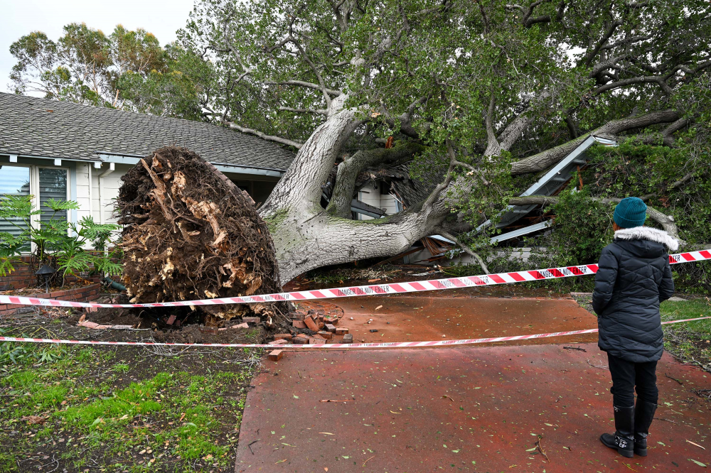 Thiệt hại do cây đổ đè lên một ngôi nhà ở San Jose, California vào ngày 4/2 - Ảnh: Tayfun Coskun/Anadolu/Getty Images