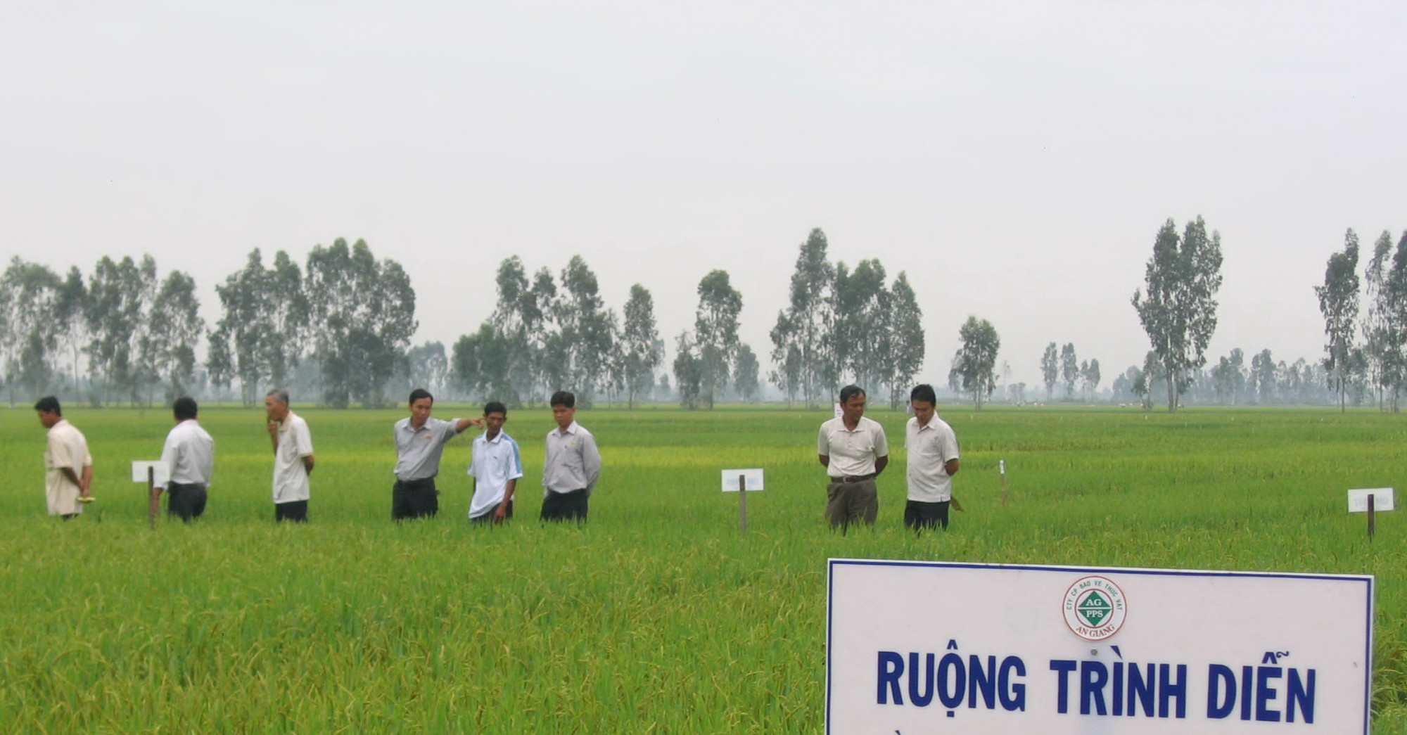 đề án không chỉ nhận được sự quan tâm lớn của các bộ ngành Trung ương và địa phương, các tổ chức, đối tác quốc tế, mà còn có hàng triệu bà con nông dân trồng lúa