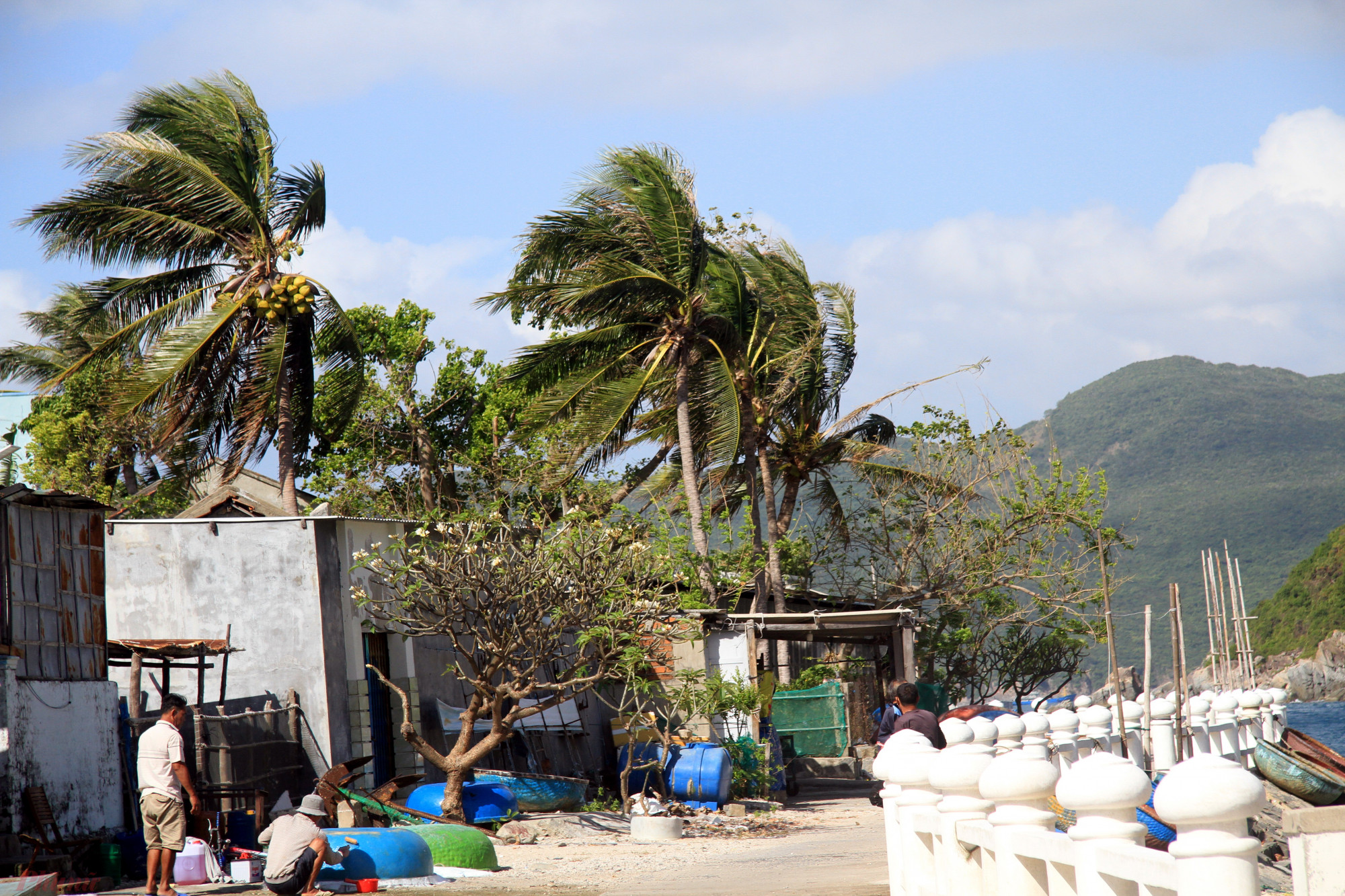 Tổ dân phố Bích Đầm thuộc phường Vĩnh Nguyên, TP. Nha Trang, tỉnh Khánh Hòa với diện tích tự nhiên gần 260ha, có 220 hộ gia đình với gần 900 nhân khẩu đang sinh sống