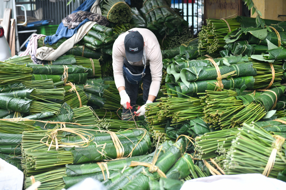 Một tiểu thương cho biết, sau 17 tháng Chạp là chợ mở nhưng nhộn nhịp nhất là những ngày giáp Tết như thế này. Lá dong năm nay có cao hơn mọi năm một chút nhưng lượng bán vẫn rất ổn định.