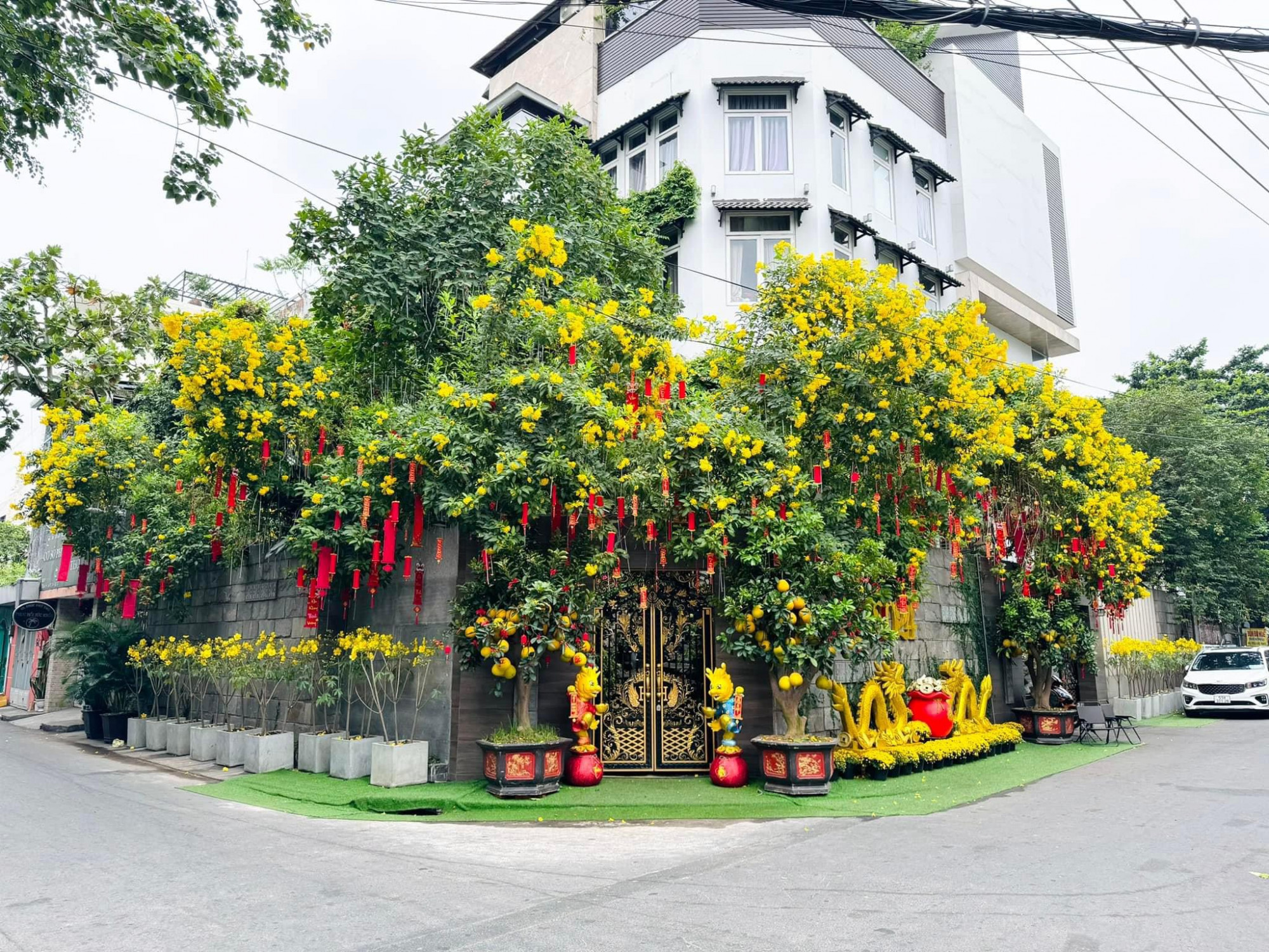 Như thường lệ, ca sĩ Đàm Vĩnh Hưng dành nhiều tâm huyết trang hoàng nhà cửa. Phía trước nhà nam ca sĩ gây ấn tượng với nhiều loại hoa trái đầy màu sắc như bưởi, đỗ quyên và mai hoa đăng.