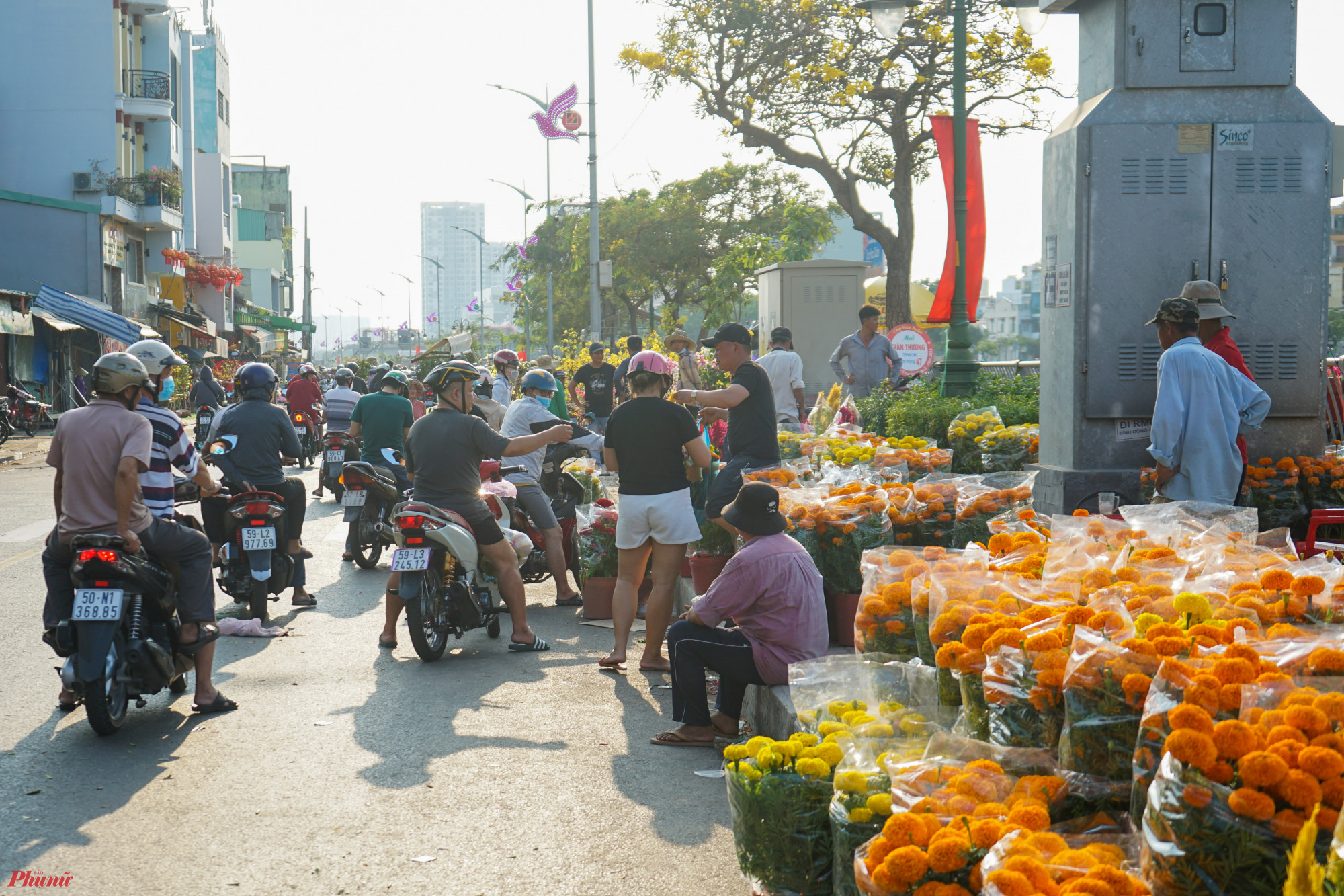 Một số điểm bán cây trưng tết ở khu vực Bến Bình Đông (quận 8) có đông người đến hỏi mua.