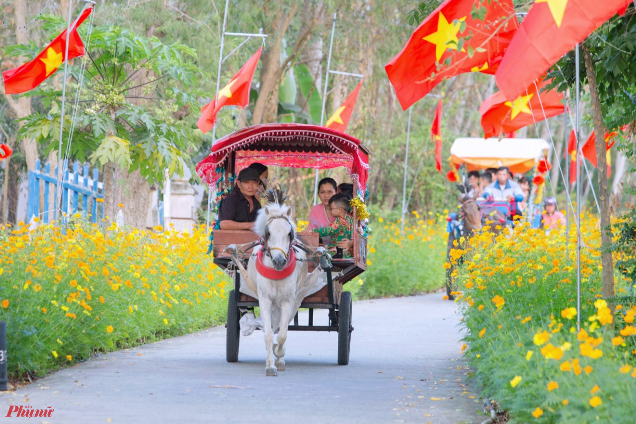 Người dân đến dây còn được tham gia các hoạt động vui xuân đón tết, phiên chợ quê, món ăn vặt, các tiết mục nhảy dân vũ vui tết do các nhóm phụ nữ vui, khỏe biểu diễn và đặc biệt là tour tham quan tuyến đường hoa bằng xe ngựa phục vụ từ 16h30 đến 21h00 mỗi ngày, giá vé 30.000 đồng lượt.