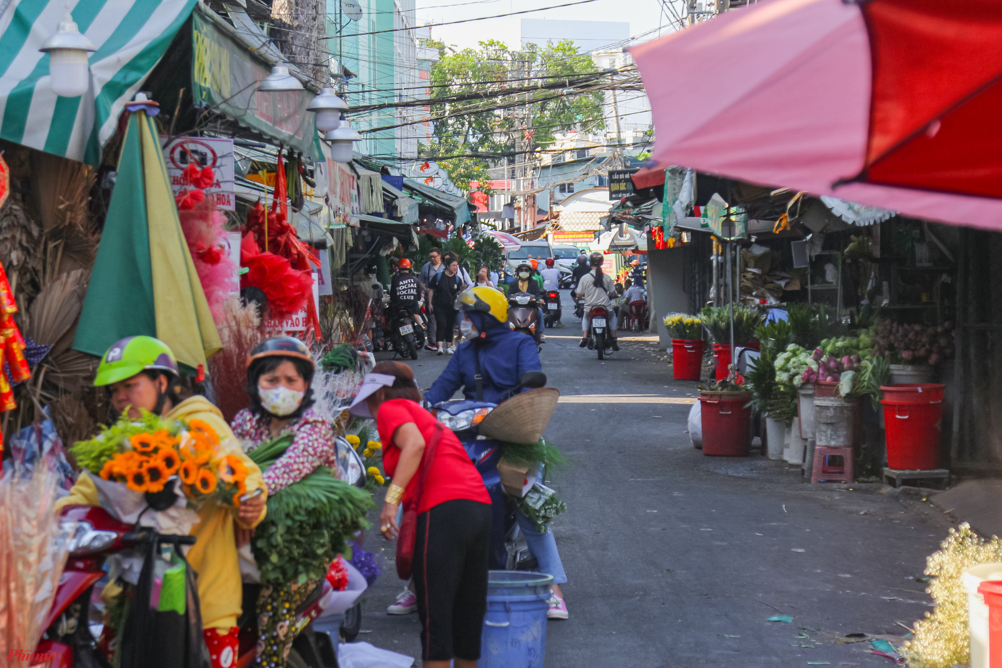 Ghi nhận tại chợ hoa Hồ Thị Kỷ (quận 10), các quầy hoa đã bày biện công phu, những bó hoa tươi đã được chuẩn bị sẵn sàng, nhưng rất ít khách ghé mua.