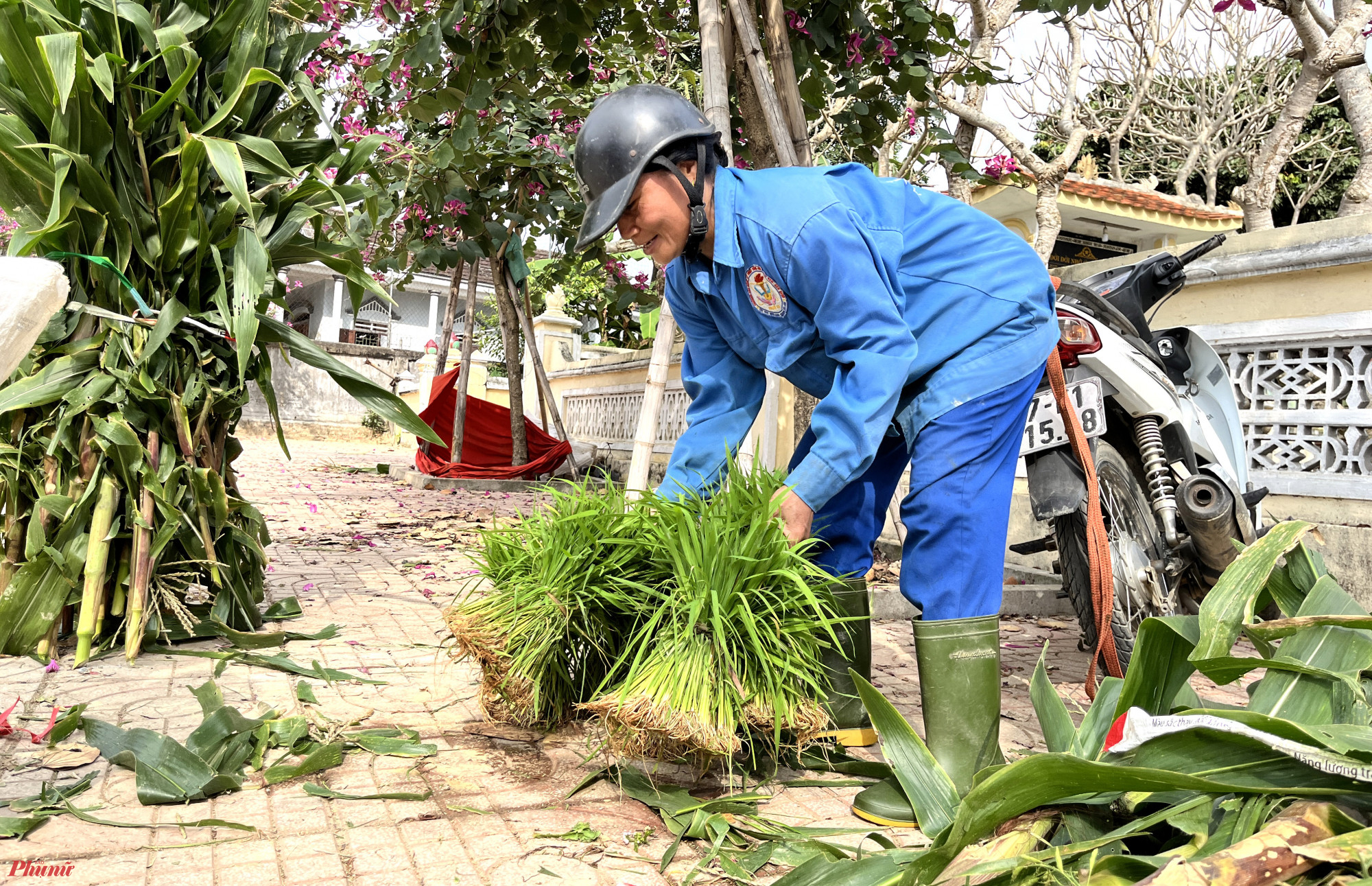 “Cũng may ruộng nhà tôi năm nay không bị ốc bươu vàng phá quá nhiều nên dư mạ để bán. Bữa giờ tôi cũng bán được gần 1 triệu rồi” - chị Lương nói.