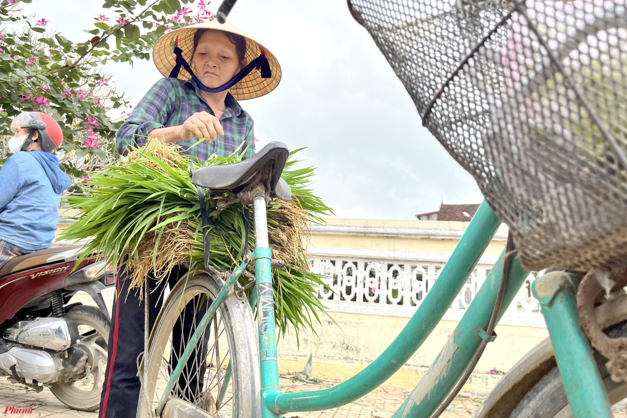 “Tính sơ sơ bữa giờ cũng mất hơn 500.000 đồng mua mạ để dặm rồi. Mấy năm nay ốc bươu vàng nó tàn phá rất mạnh, ở chỗ tui có nhà năm mất tiền triệu để mua mạ về dặm mới đủ cơ” - bà Hoàng nói.