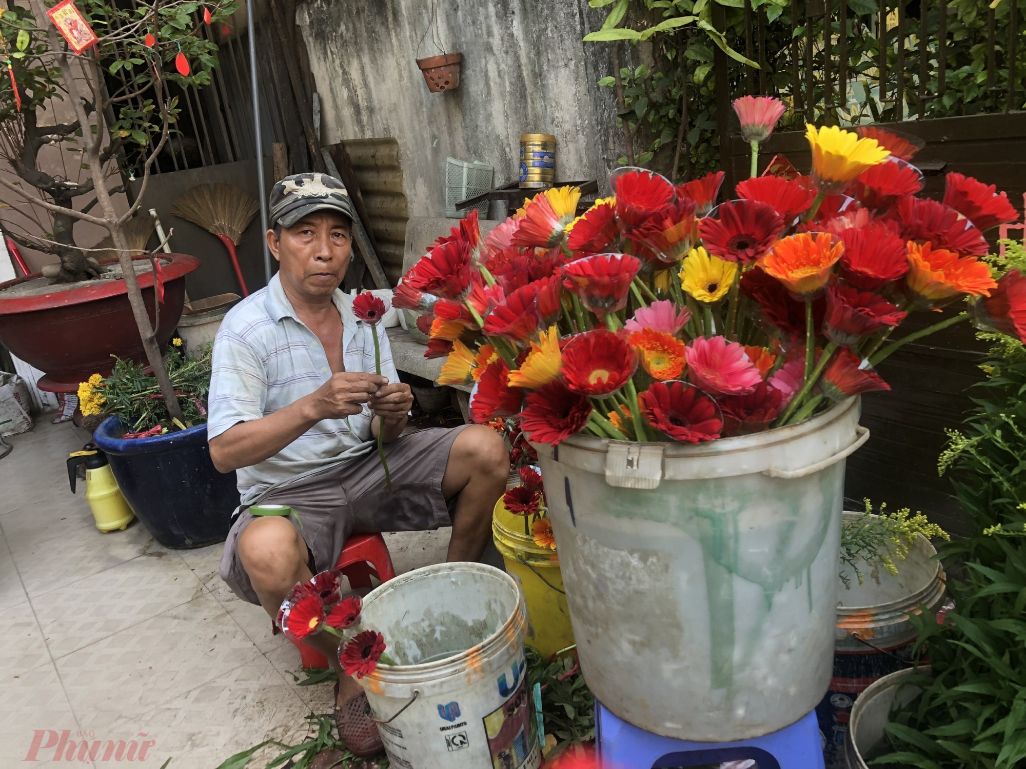 Trong các loại hoa cúng thì chỉ có mặt hàng hoa đồng tiền tăng giá khá cao, hơn gấp đôi so với ngày thường. Theo đó, ngày thường hoa này chỉ có giá từ 15.000 - 20.000 đồng/bó nhưng nay đã tăng lên 50.000 - 55.000 đồng/bó, tùy điểm bán. Tuy nhiên, nếu so với cùng kỳ năm ngoái, giá hoa đồng tiền đã rẻ hơn nhiều, năm trước hoa này tới 65.000 - 70.000 đồng/bó. Các loại hoa khác thì giá đã ổn định bình thường như hoa cúc giá 15.000 đồng/bó, hoa ly nhỏ giá 70.000 đồng/bó, ly lớn là 100.00 đồng/bó. 