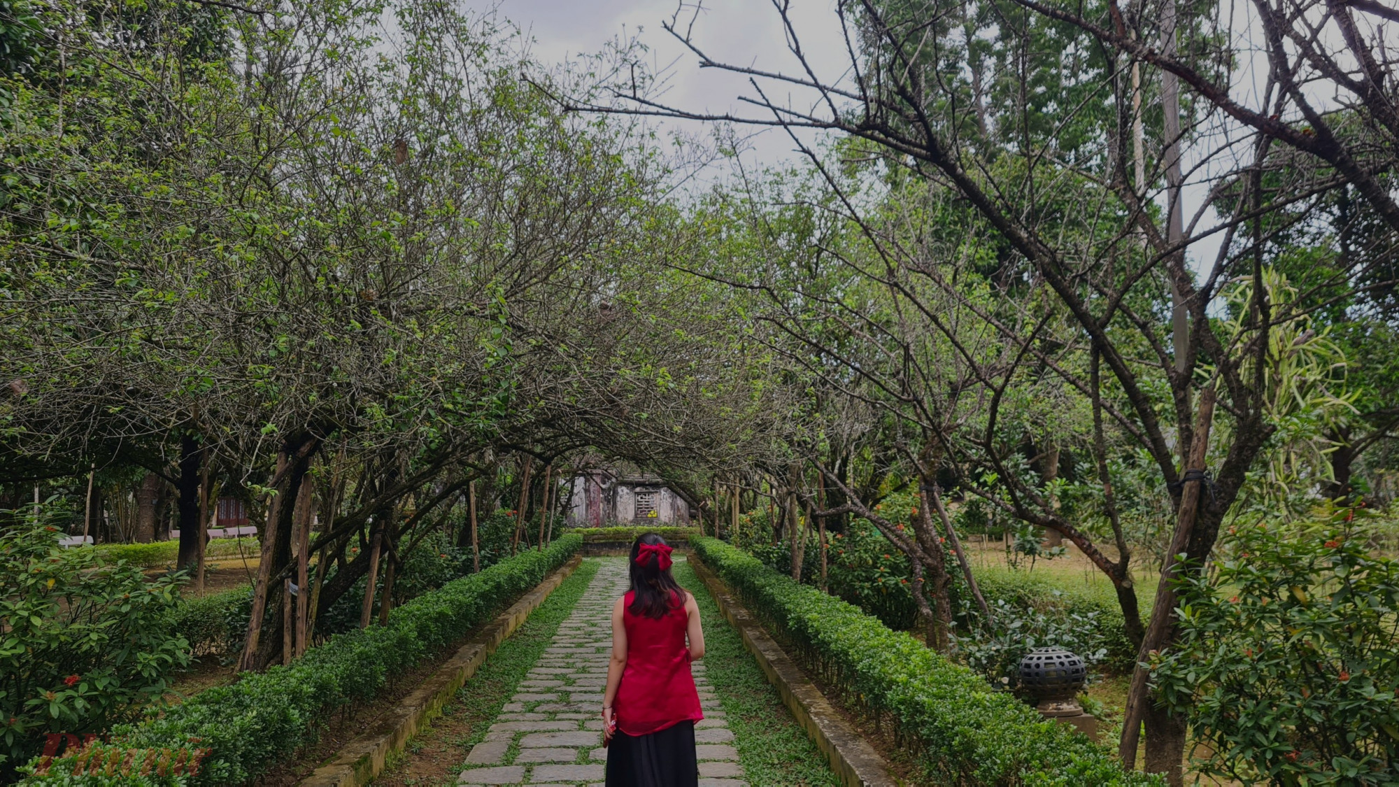 Là một địa điểm với không gian vô cùng trong lành, nhà vườn An Hiên từng là nơi mà các công chúa, quan lại đã từng ở. Ảnh Myngoc Vo