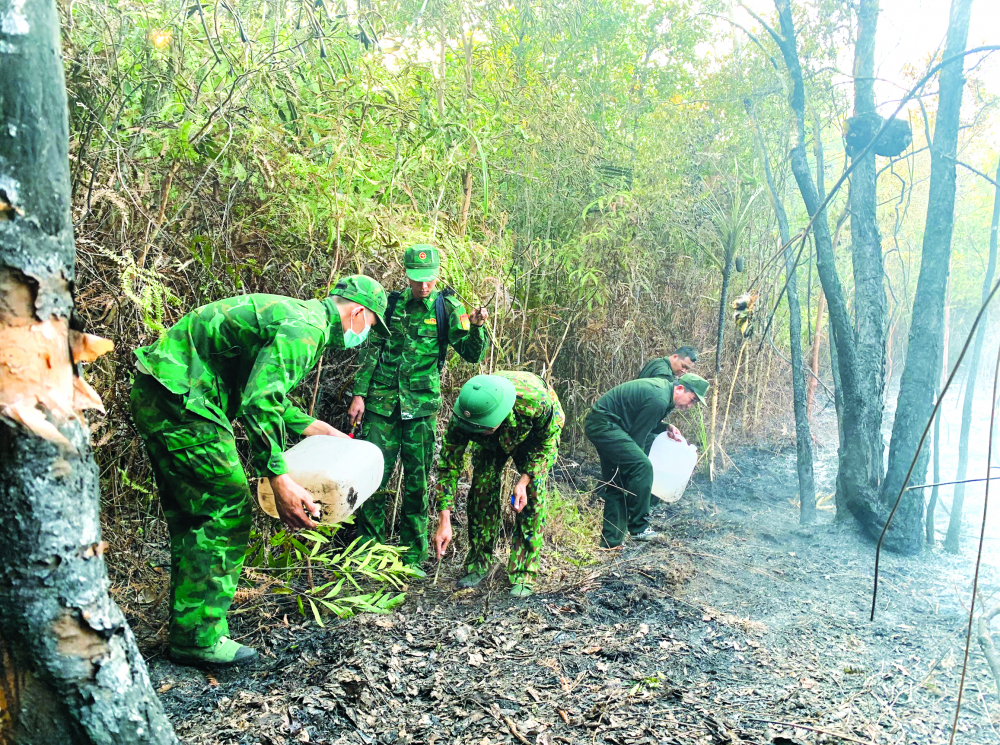 Lực lượng biên phòng kiểm tra, tiếp nước cứu những cây còn sống sau vụ cháy ở rìa rừng của vườn quốc gia Phú Quốc ngày 25/2 - Ảnh: H.L.