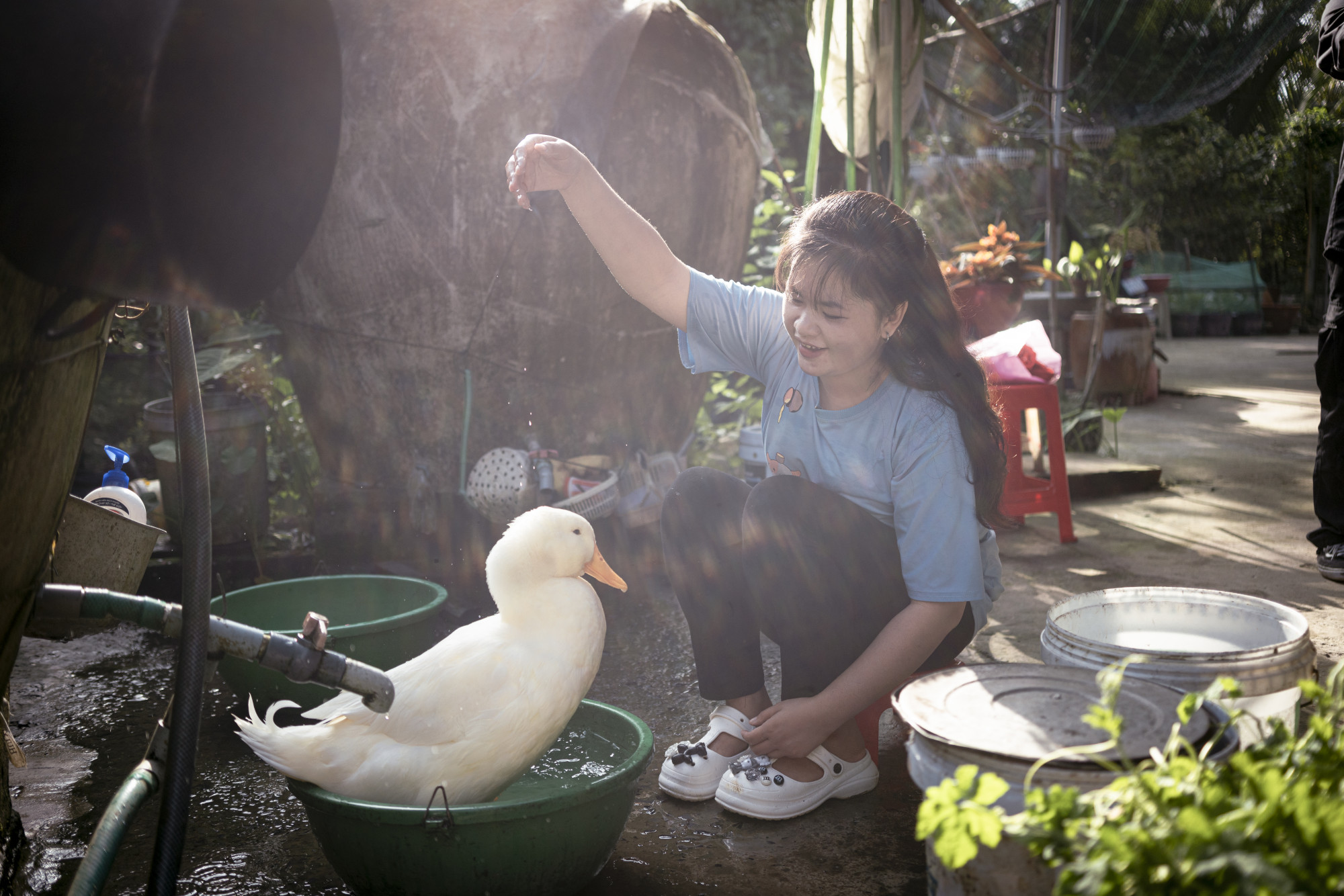 Phim ngắn thực hiện tại Việt Nam kể về Nguyễn Thùy Trang - cô gái miền tây đổi đời nhờ chú vịt Bim Bim của mình 