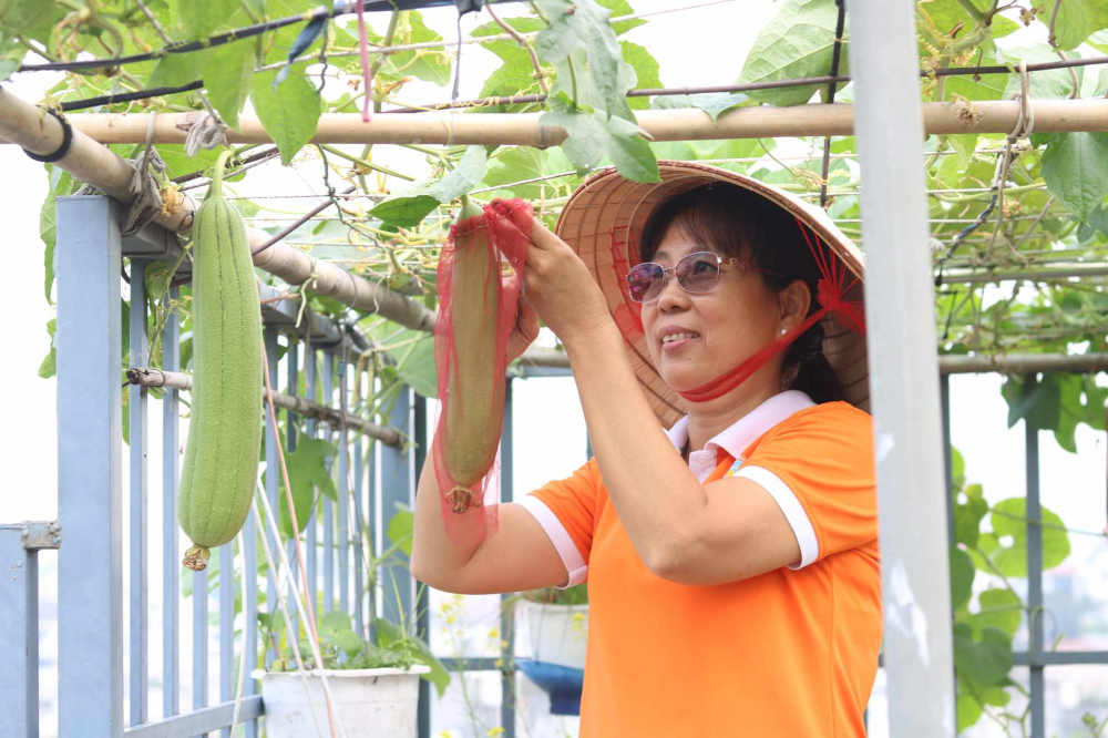 Vườn nhà chị Đoàn Thị Xuân Thảo là nơi học tập, chia sẻ về kinh nghiệm trồng cây xanh cho mọi người