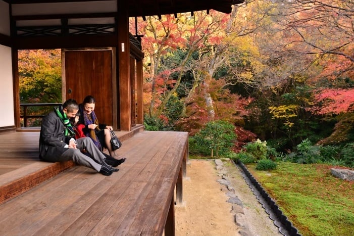 Mùa thu mang đến màu sắc rực rỡ cho những khu rừng rụng lá của Nhật Bản