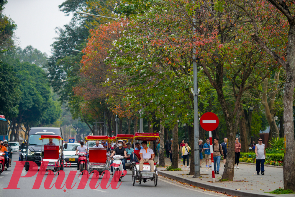 Thời gian này, phố phường Hà Nội như khoác áo mới khi từng hàng cây đã đổ lá đủ màu sắc.