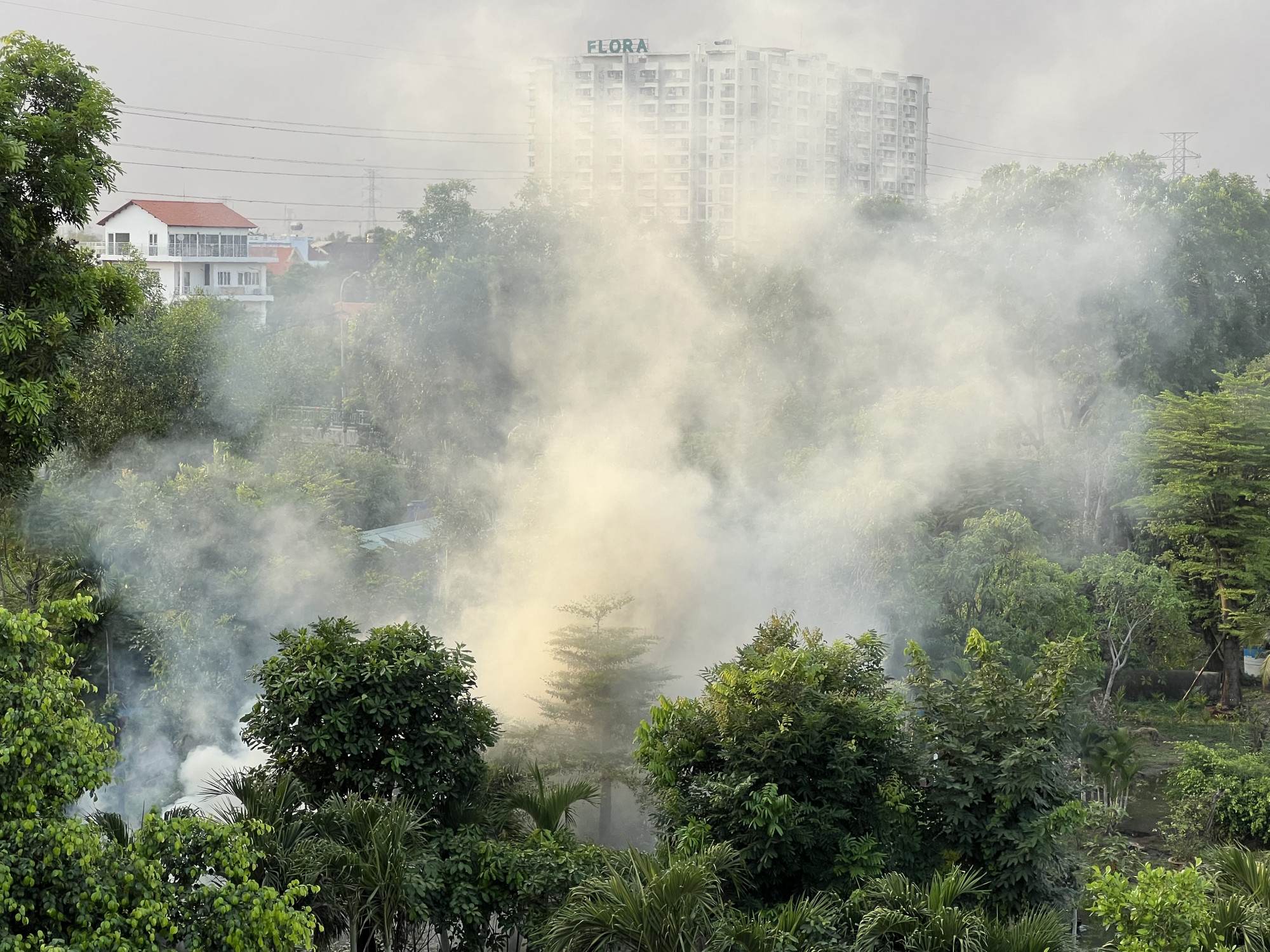Ngay trong khu dân cư Kiến Á, có hộ thường xuyên đốt rác, ảnh hưởng đời sống người dân.