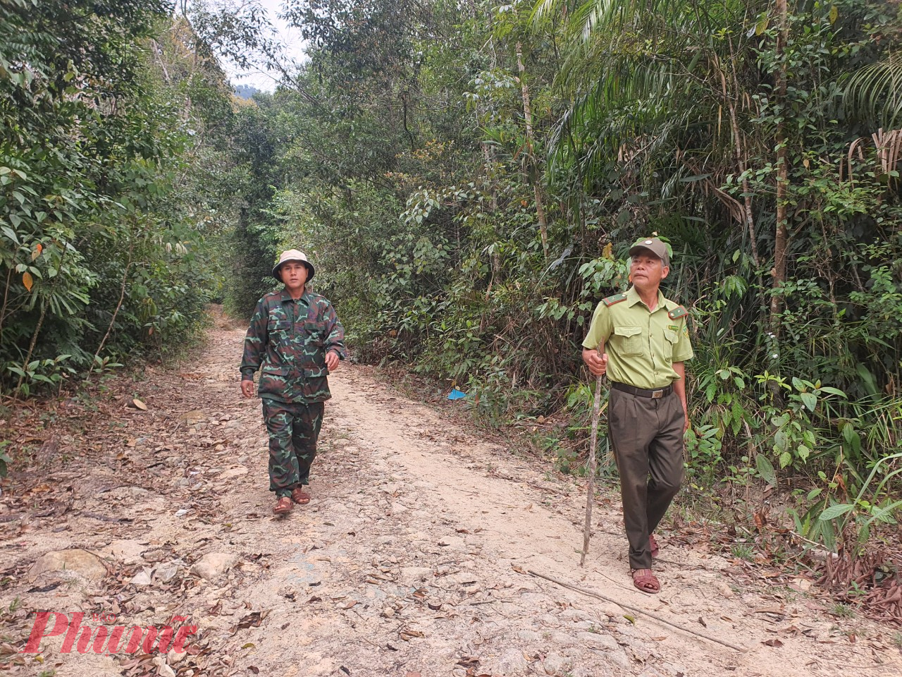 Kiểm lâm viên bảo vệ rừng tại địa bàn xã Tư, huyện Đông Giang, Quảng Nam