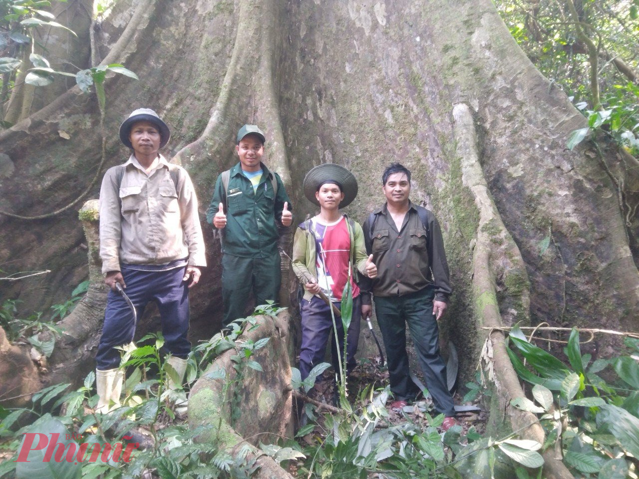 Nhiều địa phương có rừng ở tỉnh Quảng Nam tham gia đề án thí điểm vẫn đang ngóng chờ việc kinh doanh tín chỉ các bon rừng
