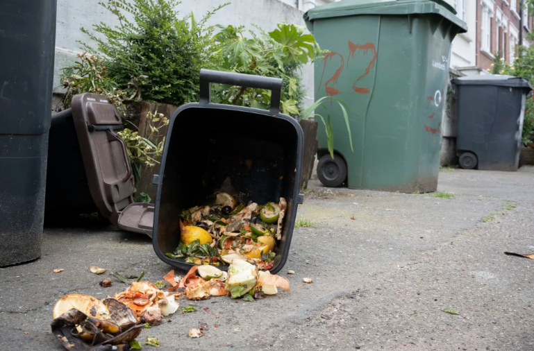 Chất thải thực phẩm tràn ra đường phố ở London. Richard Baker/Trong Ảnh/Hình ảnh Getty