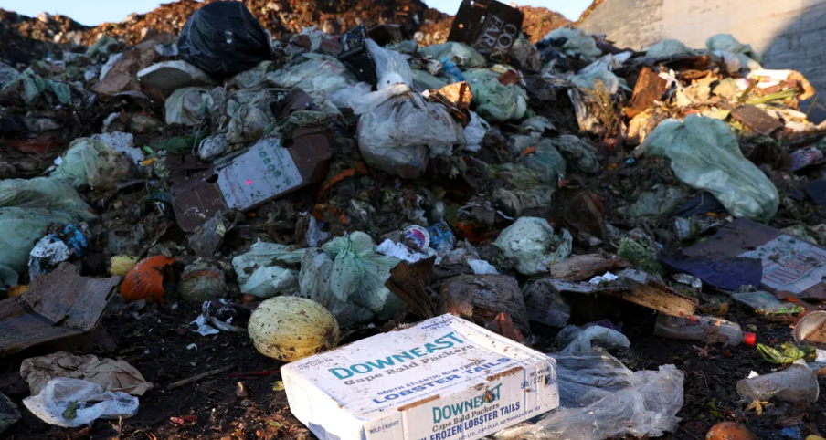 Một hộp đuôi tôm hùm đông lạnh bị vứt bỏ cùng các loại thức ăn thừa khác ở San Francisco, Mỹ, vào