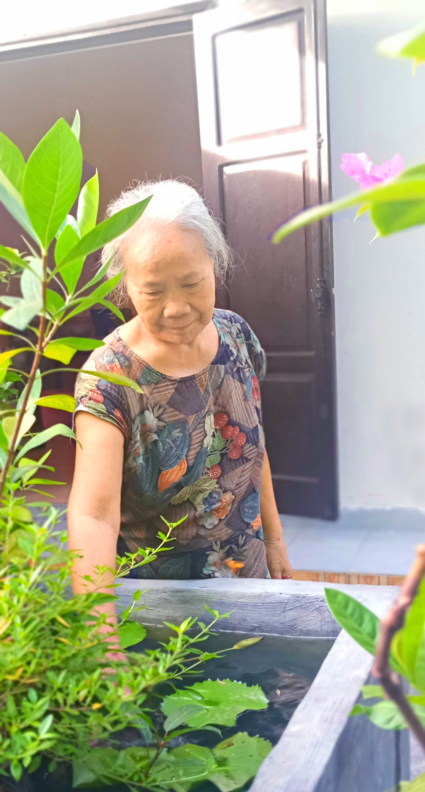 Làm bạn với cỏ cây giúp tuổi già của bà Hương thêm vui 
