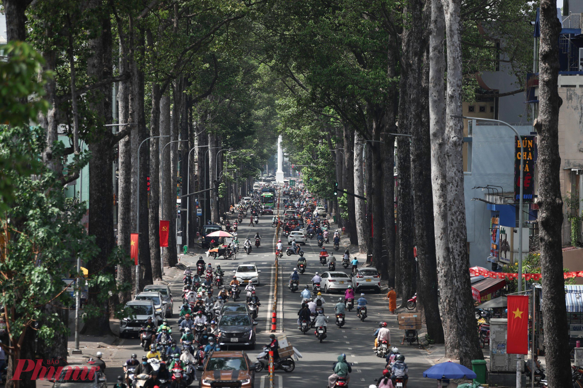 Hàng cây cổ thụ thẳng tắp trên đường Nguyễn Tri Phương, quận 10. Dù đã có nhiều tuyến đường được phủ bóng cây xanh, nhưng tại TPHCM, hiện nay vẫn còn nhiều con đường 