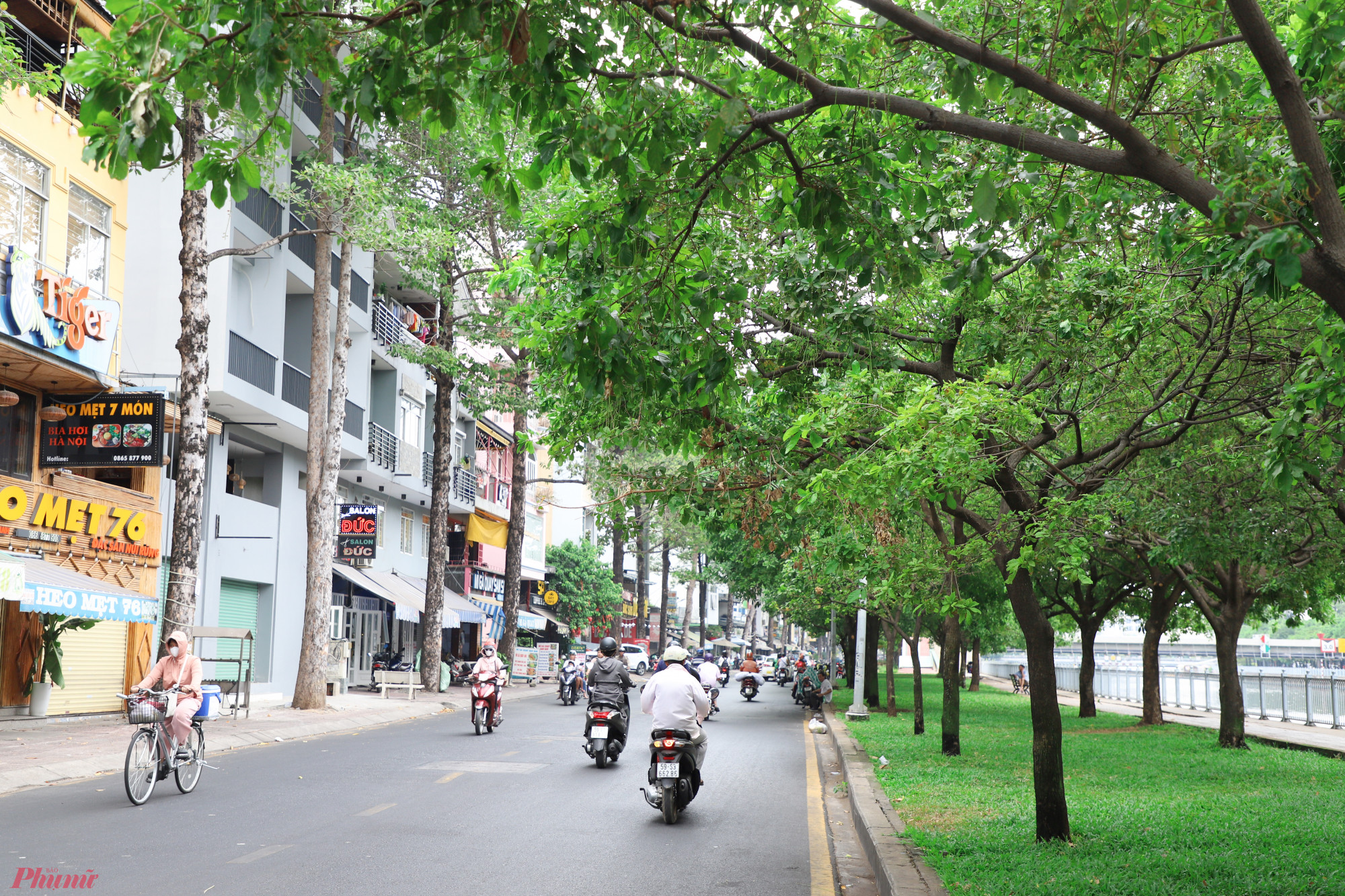 Những hàng cây xanh thẳng tắp, lá xum xuê che mát cho người dân trên đường Trường Sa.