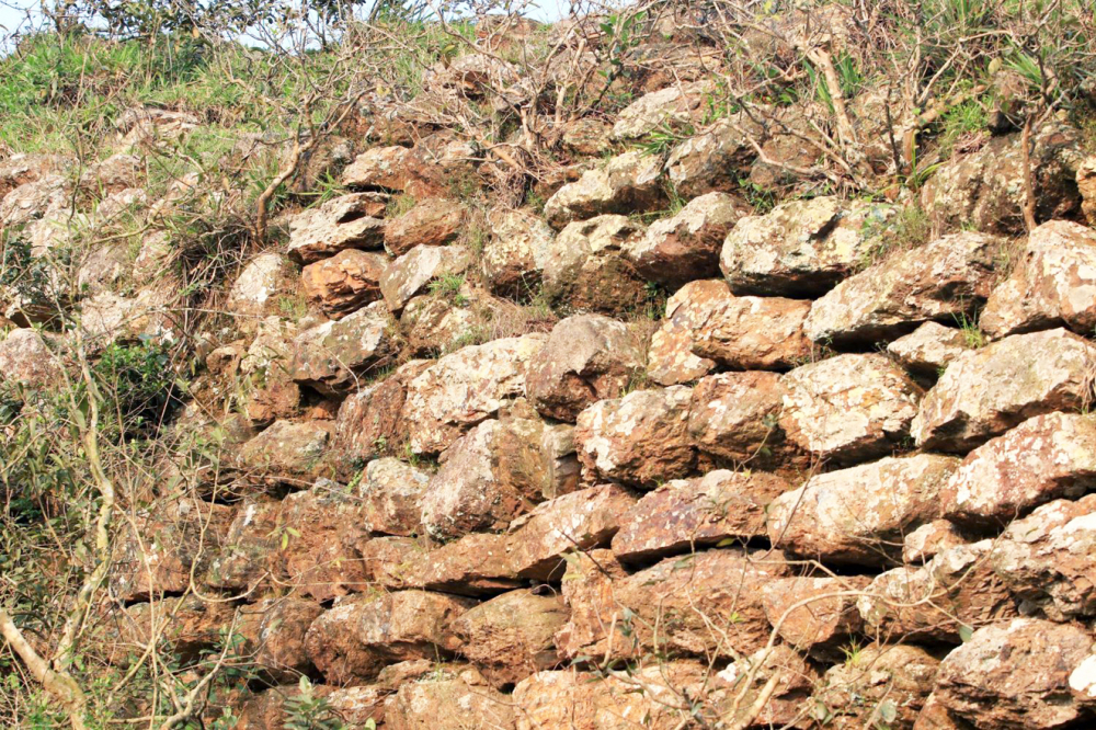 Tường thành ghép bằng đá ở thành Rum bị hư hỏng, cây dại bao phủ