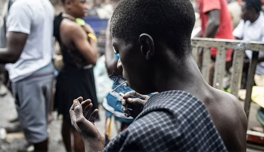 Tuy nhiên, nó không còn chỉ là vấn đề ở Sierra Leone nữa, các báo cáo cho thấy loại thuốc này đang lan rộng khắp Tây Phi với hơn một triệu người ở các khu vực thành thị nghiện ngập.Tiến sĩ Edward Nahim, chuyên gia tư vấn tâm thần học tại Viện Y học Hoa Kỳ cho biết: “Kush là một loại ma túy rất nguy hiểm như heroin hoặc cocaine. Nó mạnh, rẻ và dễ dàng mua được, quy định và kiểm soát việc bán ma túy còn lỏng lẻo và nó đang trở nên phổ biến ở Tây Phi. Thiếu việc làm và cơ hội là động lực khiến nhiều thanh niên nghiện ma túy sau sự gián đoạn của nền kinh tế bởi đại dịch COVID-19.