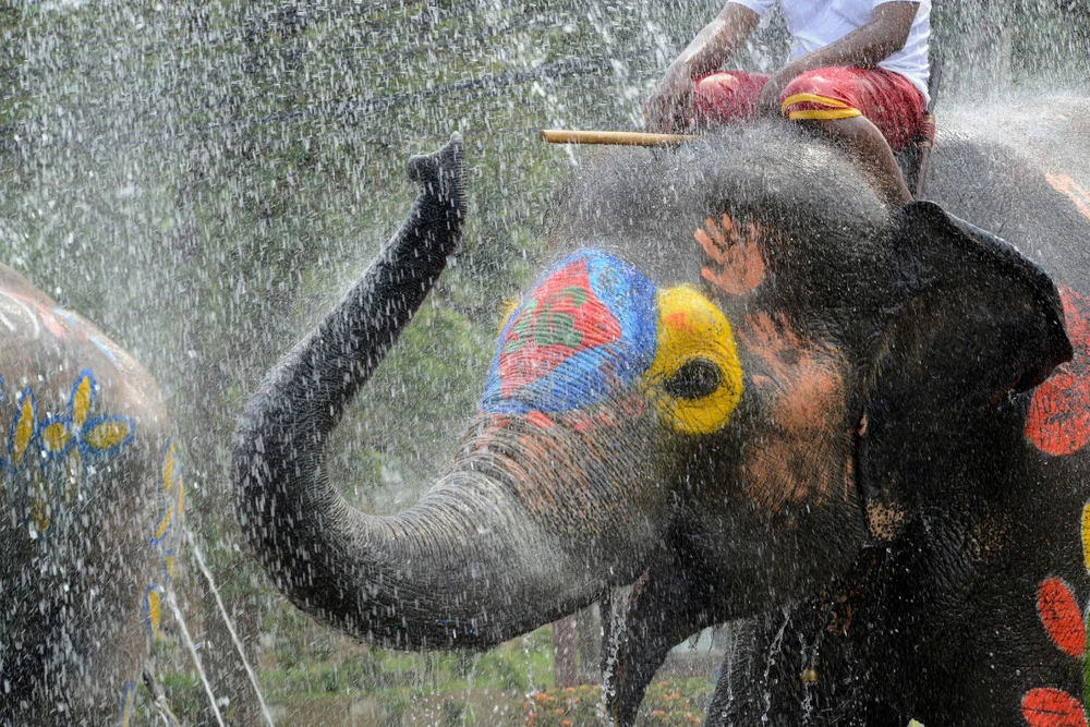 Ngày nay, Songkran là một lễ hội thu hút du khách trong và ngoài nước. Đến Thái Lan vào dịp này, du khách có thể tham gia vào các hoạt động té nước, diễu hành, thưởng thức các món ăn truyền thống. Songkran 2024 được tổ chức khắp Thái Lan. Tại thủ đô Bangkok, lễ hội Songkran sẽ được tổ chức trên đại lộ Rachadamnoen và một số địa điểm khác. Tại các tỉnh khác của Thái Lan, lễ hội Songkran thường tổ chức sớm hơn và kết thúc muộn hơn nên thời gian kéo dài từ 4 đến 20/4. Nơi diễn ra sớm nhất là Chiang Mai (4/4), các địa phương khác chủ yếu tổ chức từ 12/4 đến 15/4. 