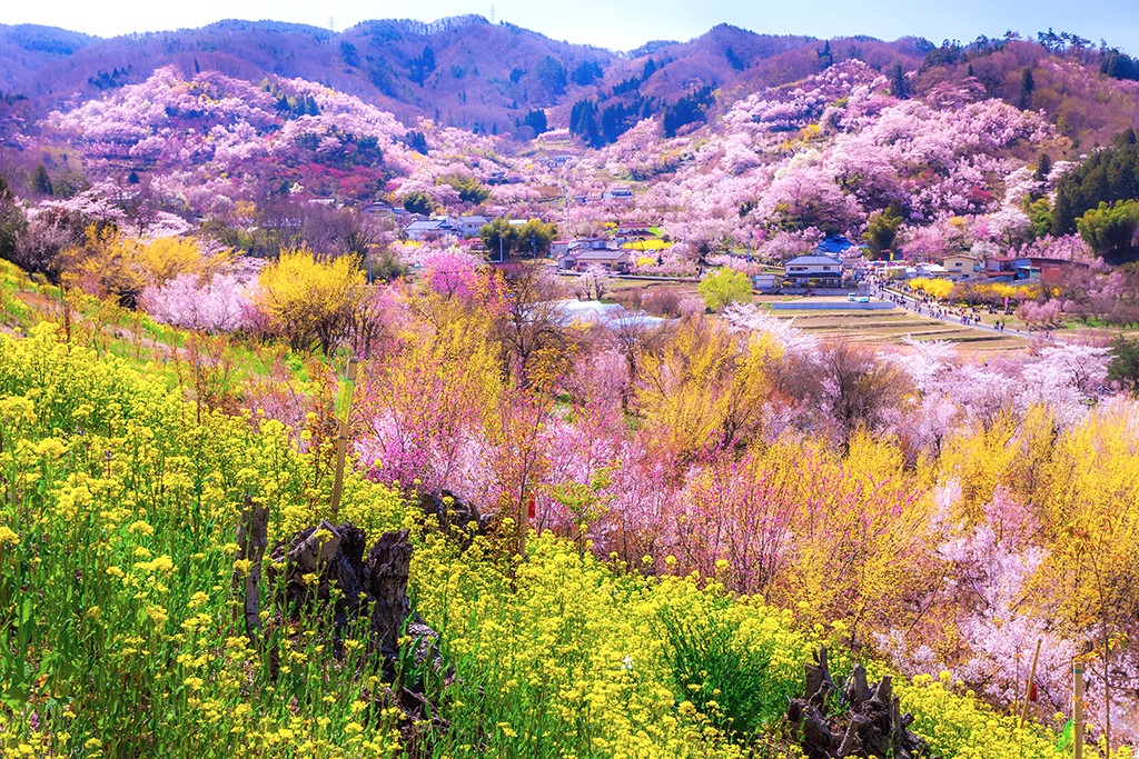 Di chuyển đến Fukushima: Từ Việt Nam, bạn có thể mua vé máy bay đến sân bay thuộc Tokyo, sau đó, di chuyển bằng xe hay tàu đến Fukushima. 