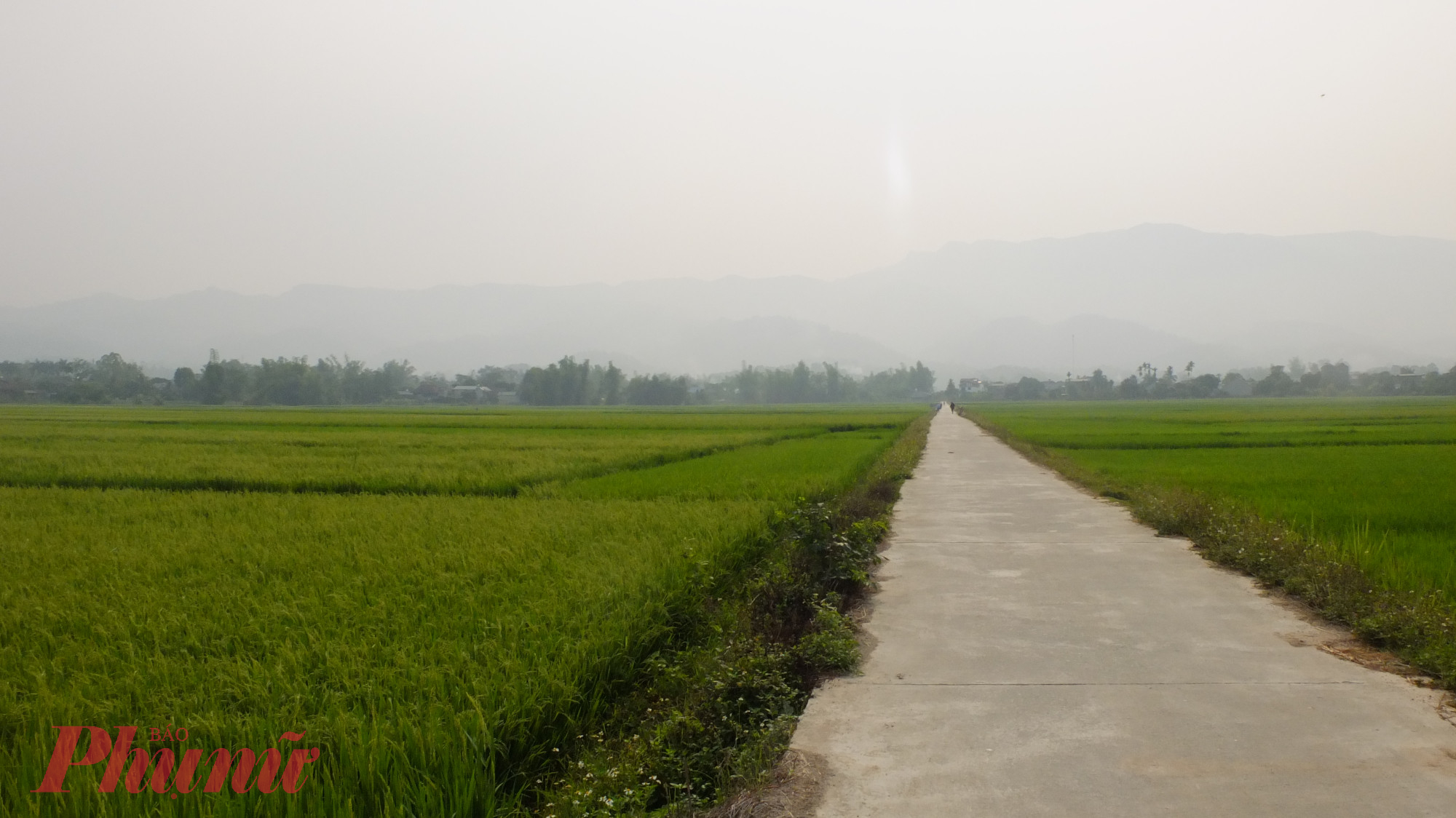 Xa xa là bản làng của xã Thanh Xương, huyện Điện Biên nép mình dưới chân dãy núi Phú Hồng Mèo