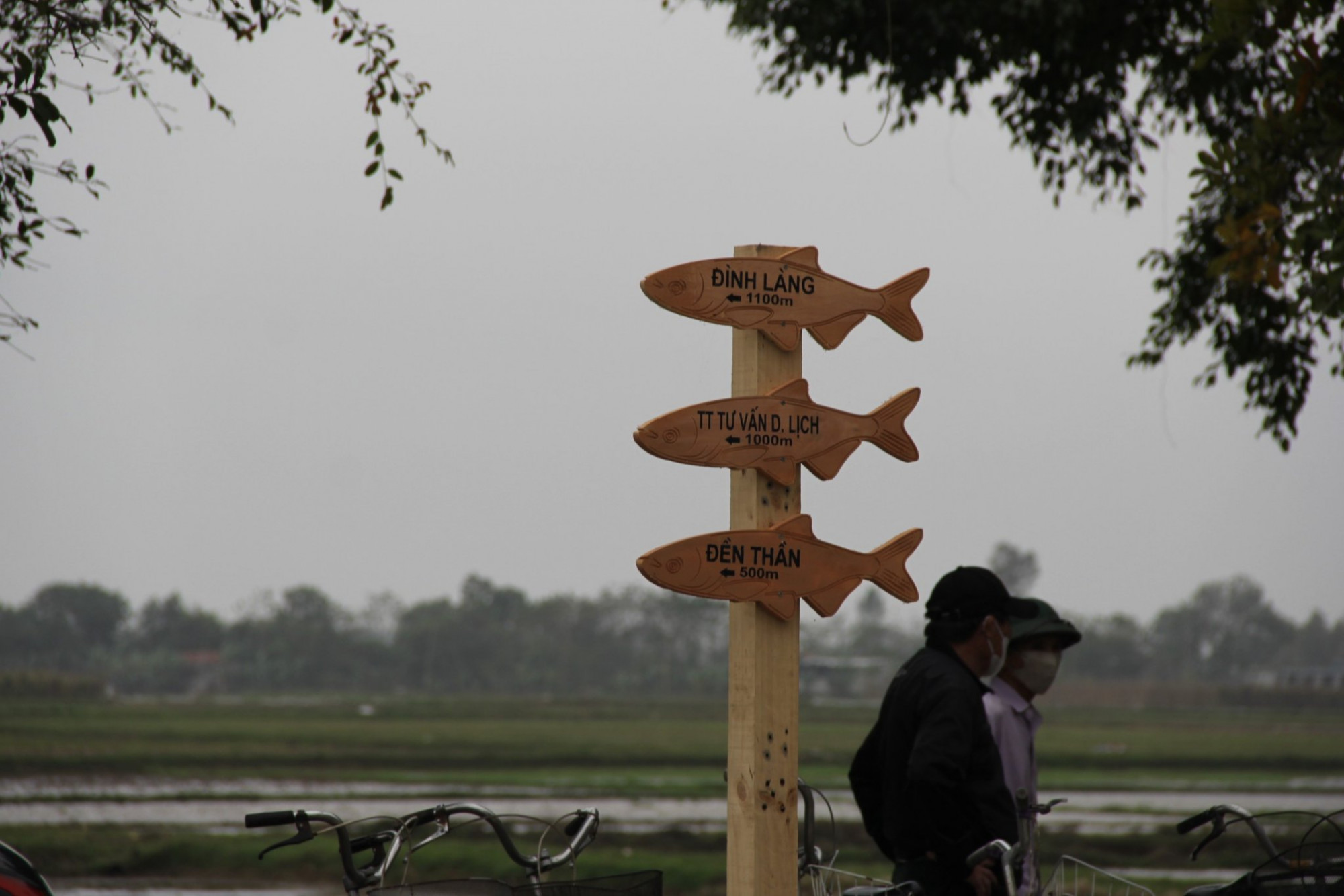 Xã Quỳnh Đôi xây dựng tour du lịch Làng Cá Gỗ để thu hút du khách - Ảnh: V.Hòa 