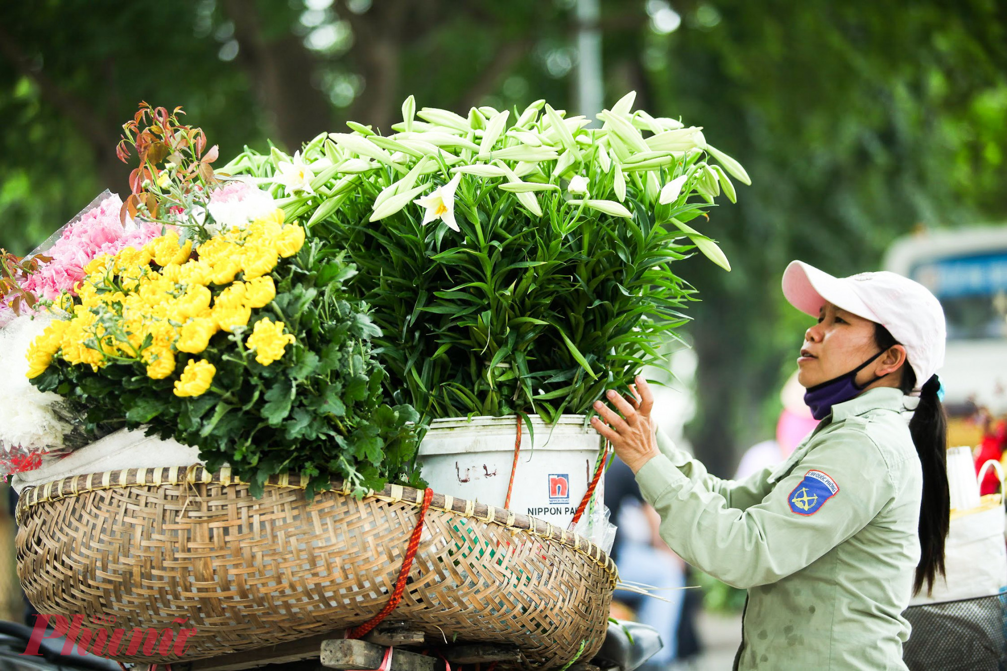 Hoa loa kèn được bày bán nhiều dọc đường Thanh Niên, Thụy Khuê, Giảng Võ, Nguyễn Chí Thanh... Dù thời điểm này, giá hoa bán lẻ khá cao, nhưng vẫn thu hút khá đông người mua hàng.